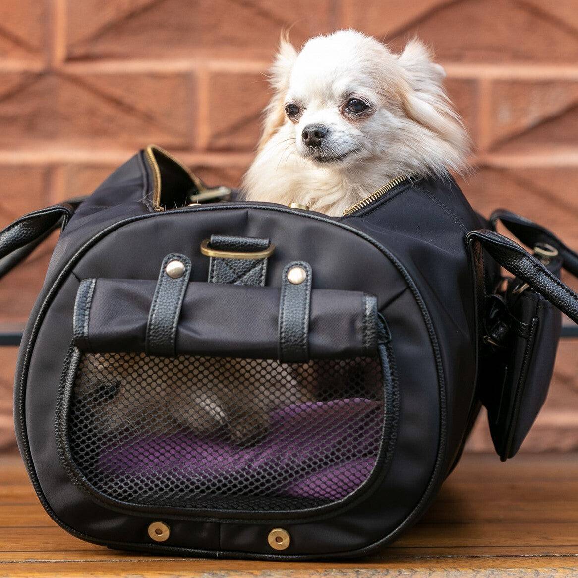 Pet Carrier Large + Multifunctional Bag - Black - Image 8