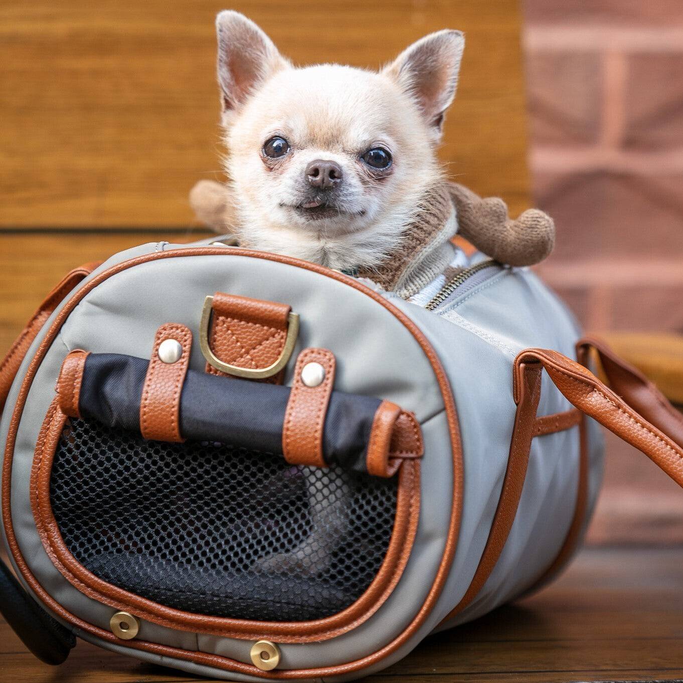 Pet Carrier Small + Multifunctional Purse - Beige - Image 16