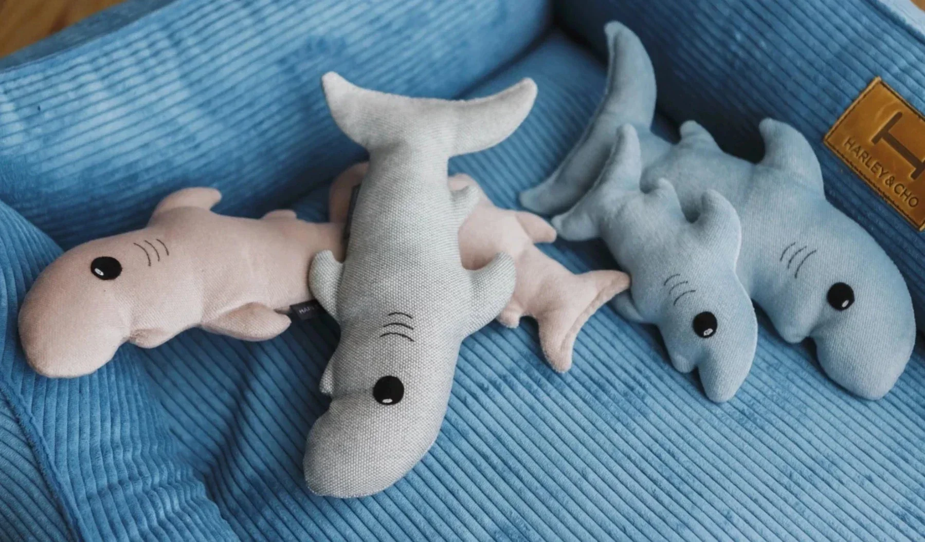 Pet Toy - Baby Shark - Image 5