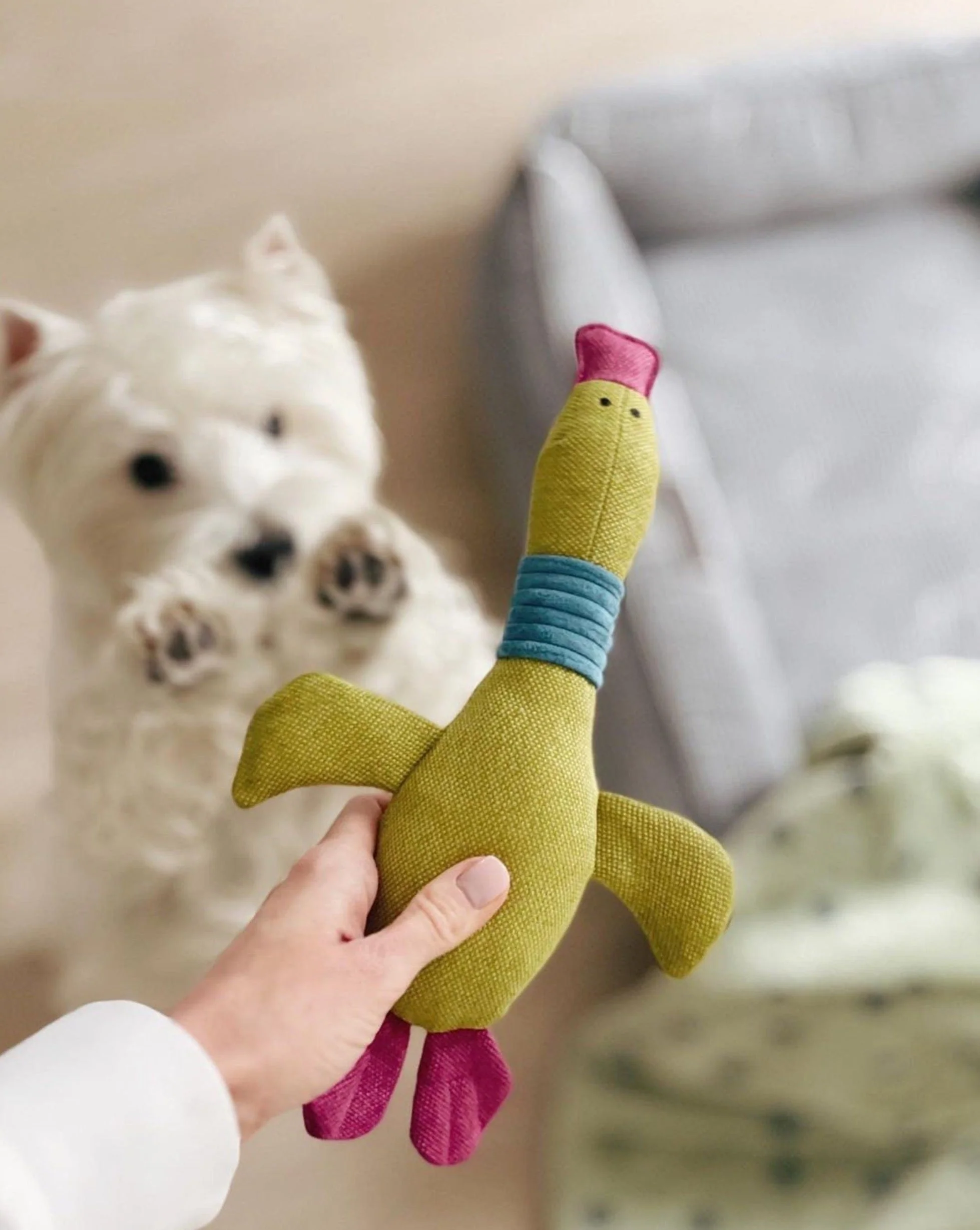 Pet Toy - Duck Jose - Image 2