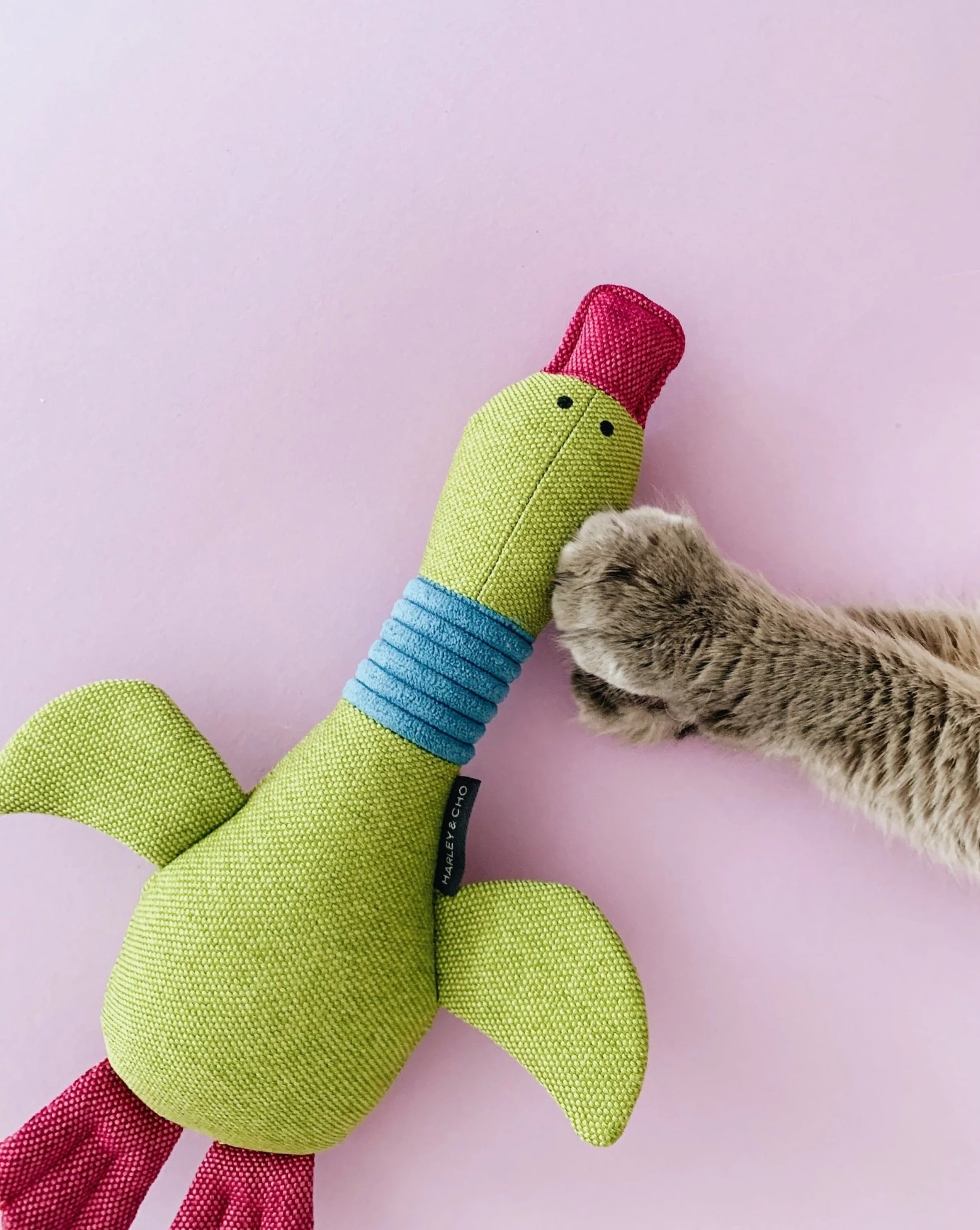 Pet Toy - Duck Jose - Image 5