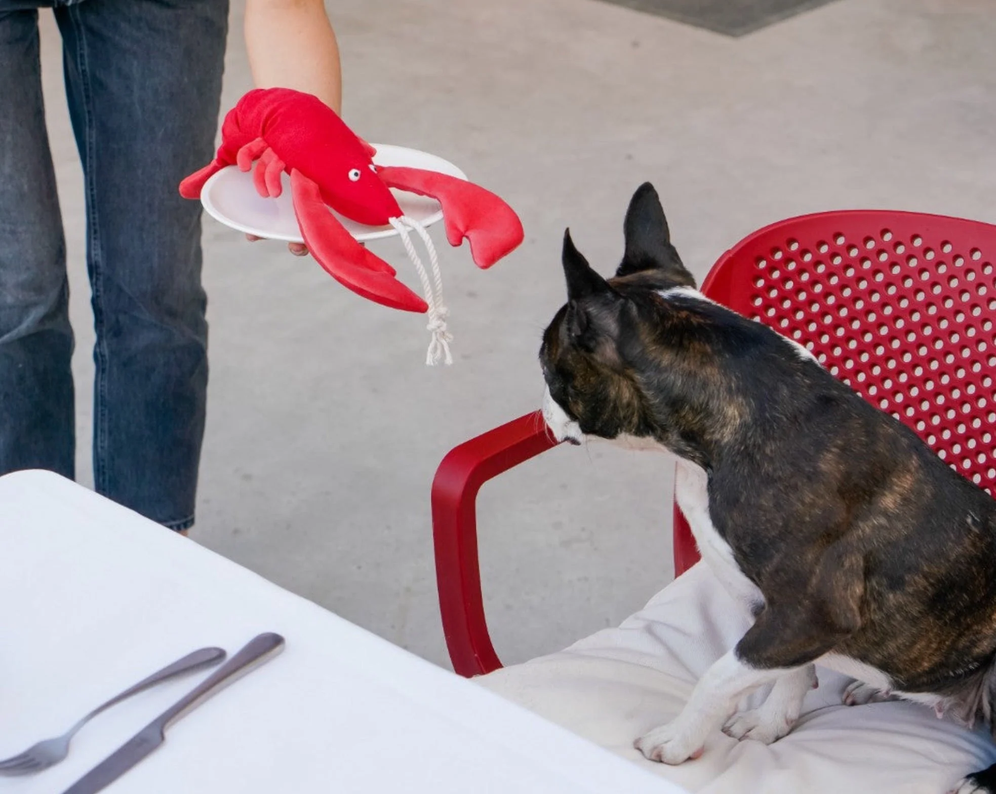Pet Toy - Lobster Sebastian - Image 7