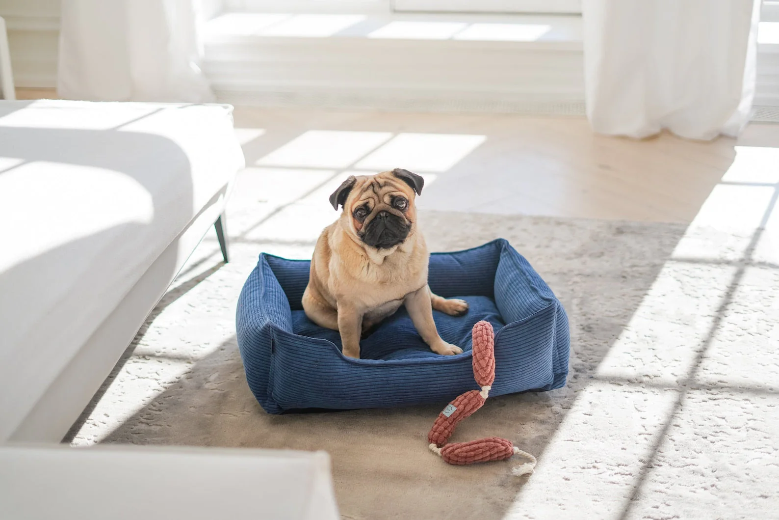 Pet Toy - Long Sausages - Image 13