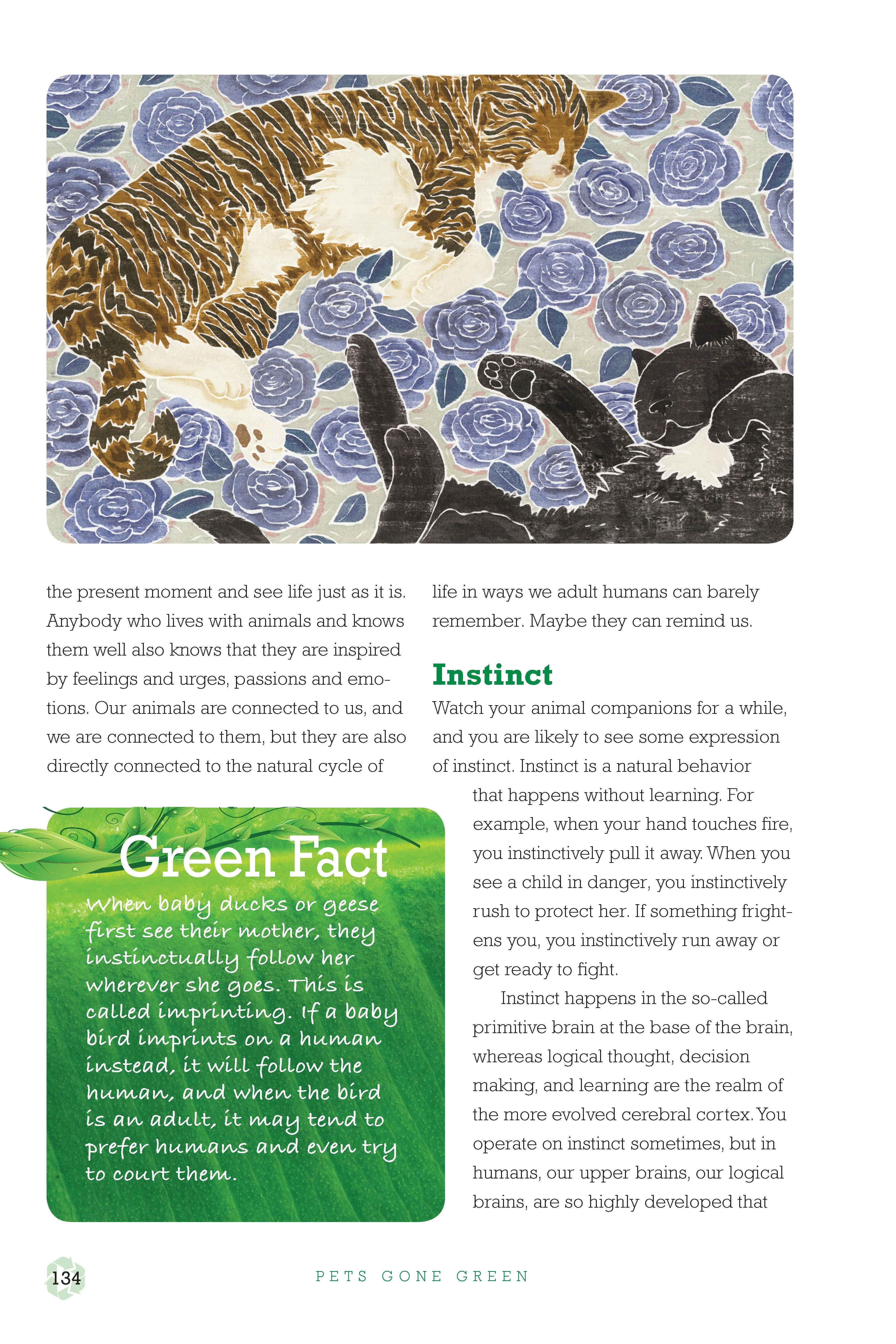 Pets Gone Green - Image 5