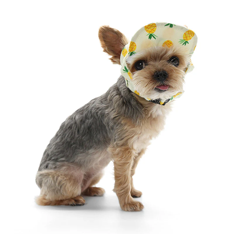 Pineapple Hat Yellow - Image 2