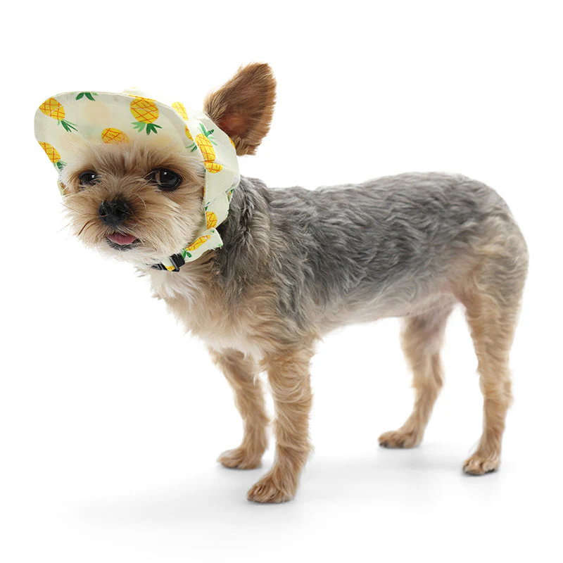 Pineapple Hat Yellow - Image 8