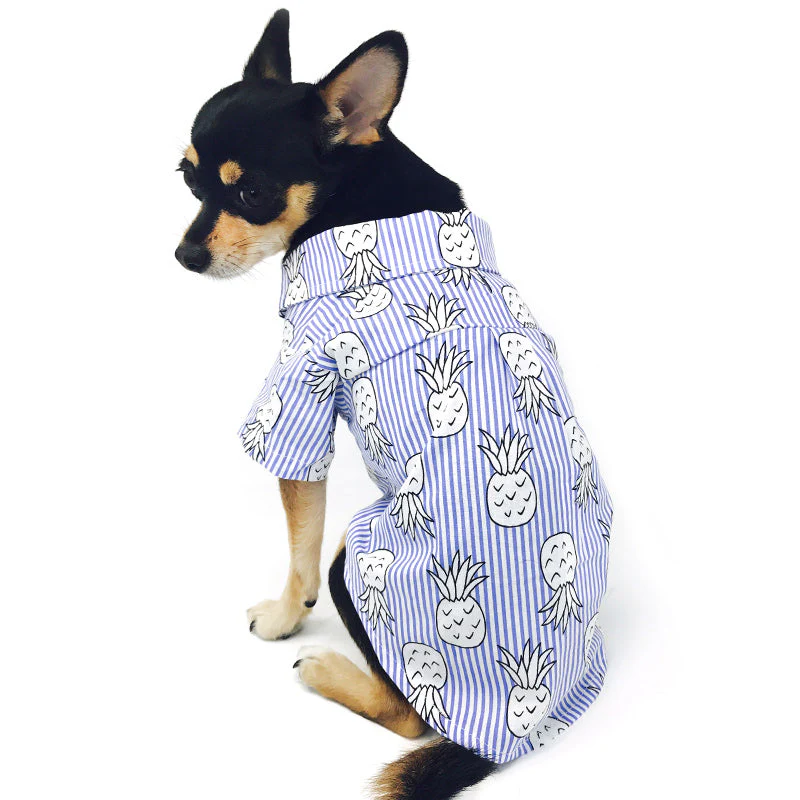 Pineapple Striped Shirt - Image 4