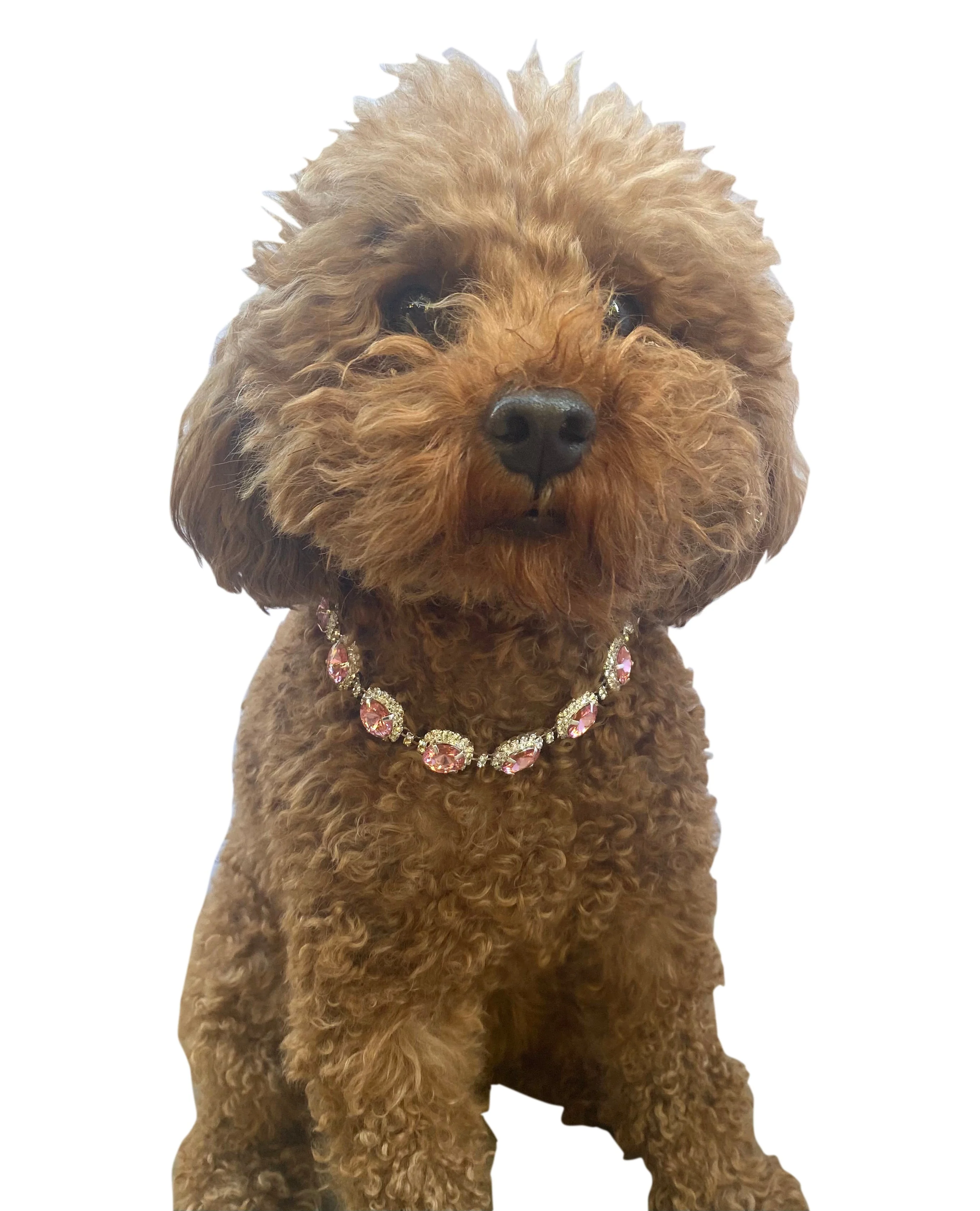 Pink Crystal Rhinestone Dog Necklace - Image 2