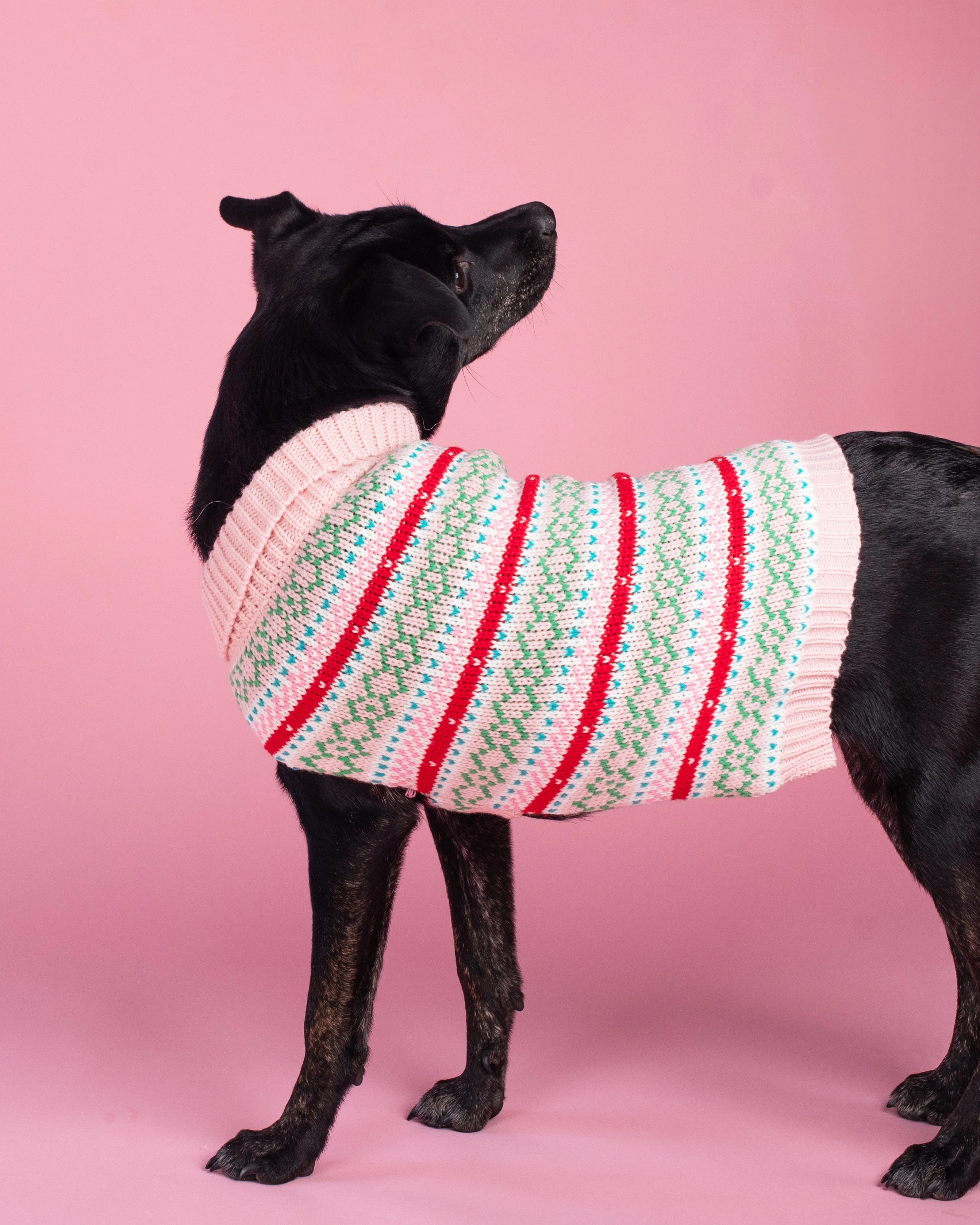 Up Country Pink Fair Isle Sweater Pet Accessory - Image 2
