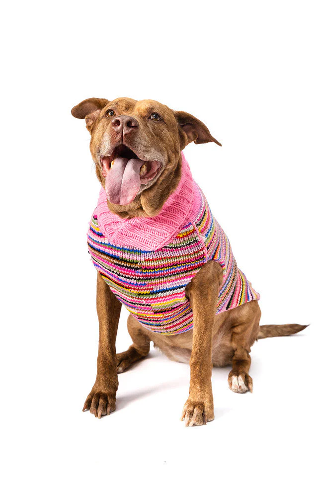 Pink Multi Dog Sweater - Image 4
