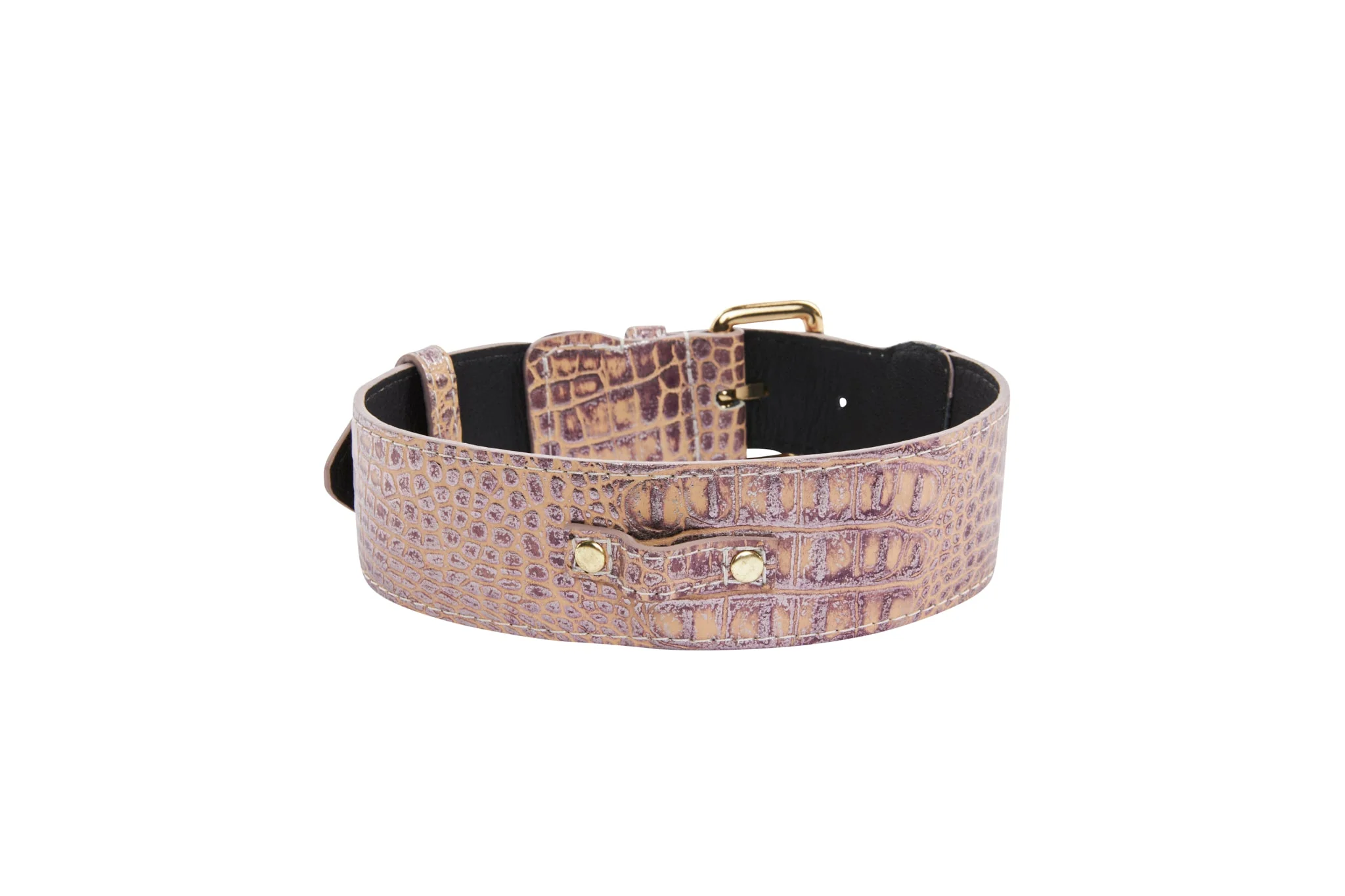 Pink, Purple & Silver Embossed Croc Italian Leather/Classic Collar - Image 3