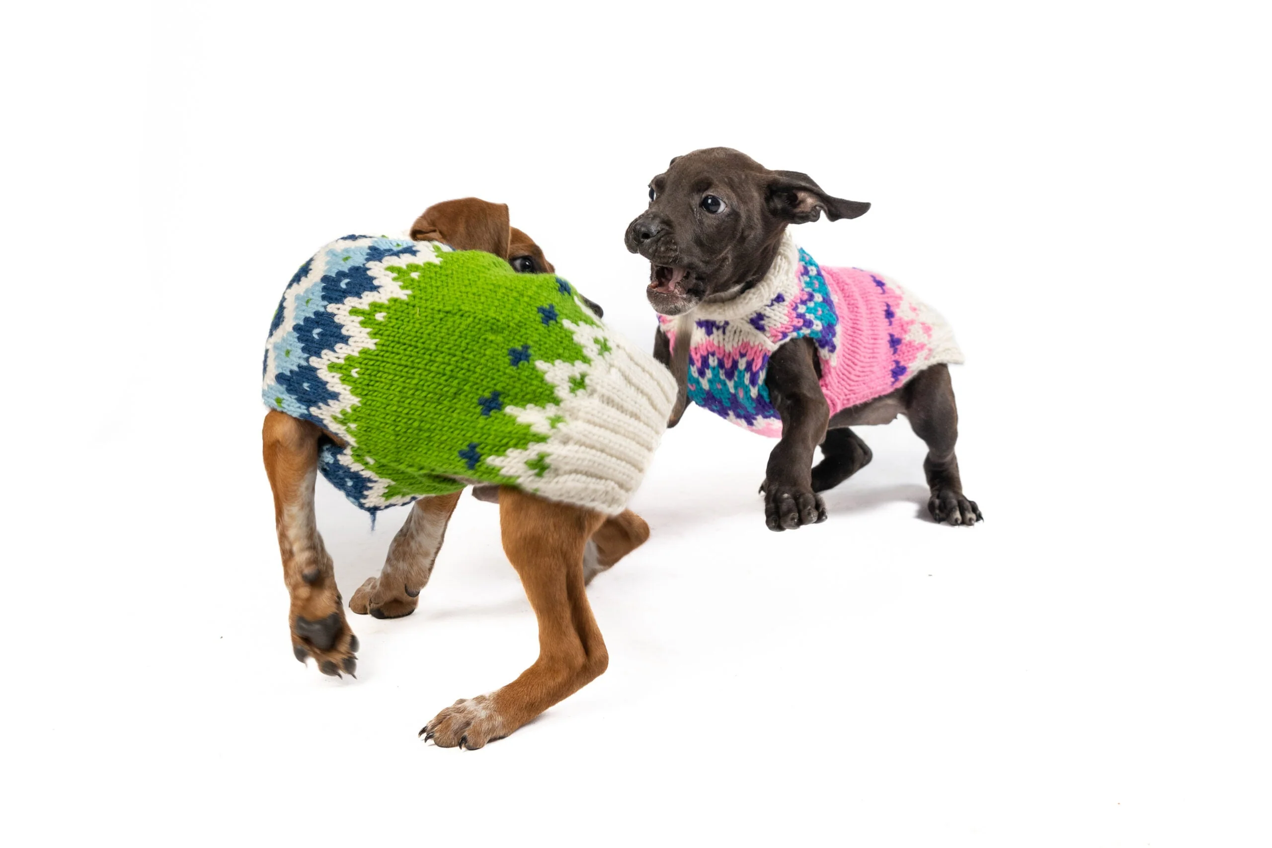 Pink Ski Bum Dog Sweater - Image 5