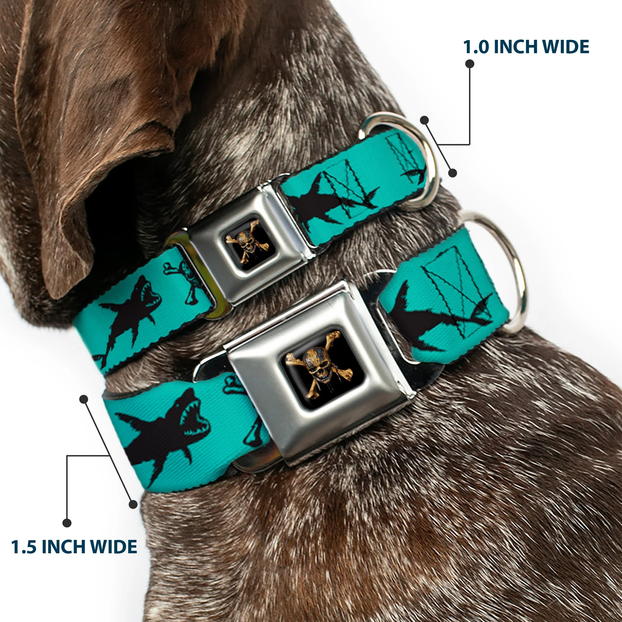 Pirates of The Caribbean Dead Men Tell No Tales Skull Icon Full Color Black Seatbelt Buckle Collar - Pirates Skull & Crossbones/Sharks Turquoise/Black - Image 2