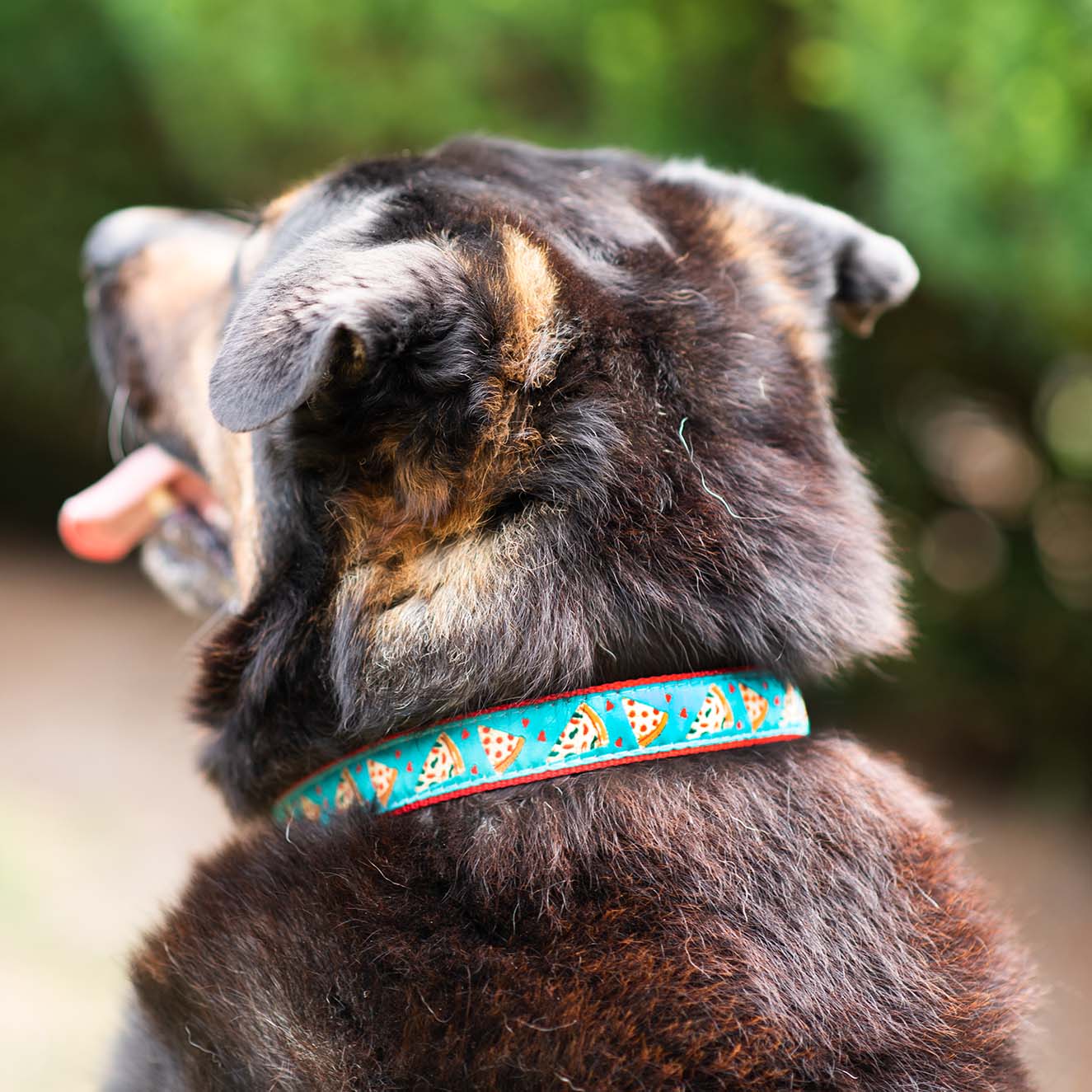 Up Country Pizza Lover Cast Brass Dog Collar - Image 2