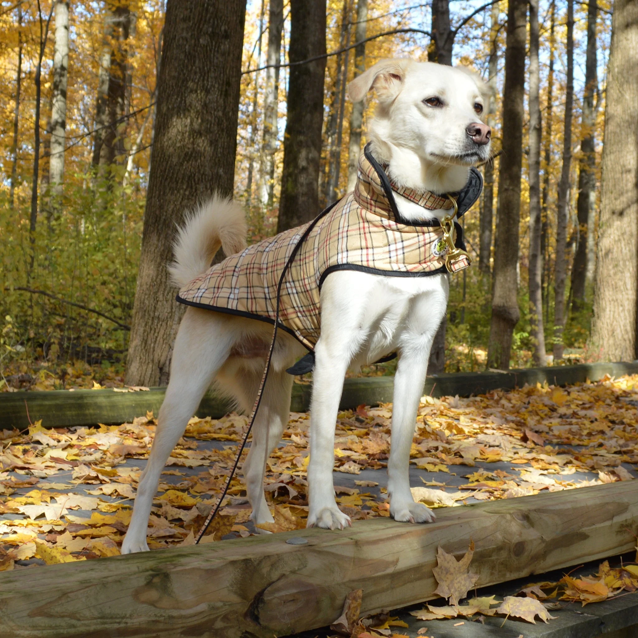 Up Country Plaid Diamond Quilted Coat Pet Accessory - Image 2