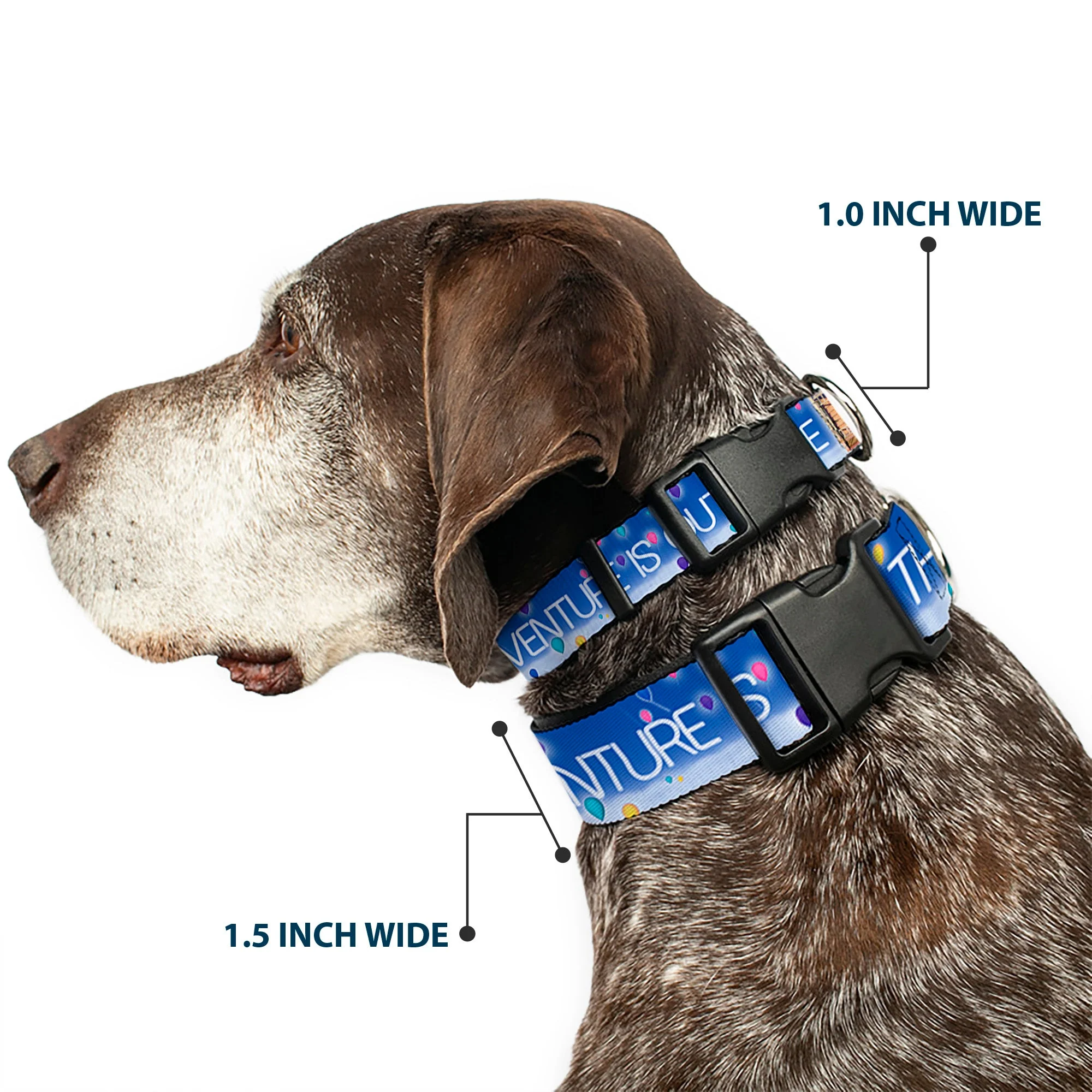Plastic Clip Collar - ADVENTURE IS OUT THERE/Carl on Porch/Flying House/Balloons Blues/White/Multi Color - Image 2