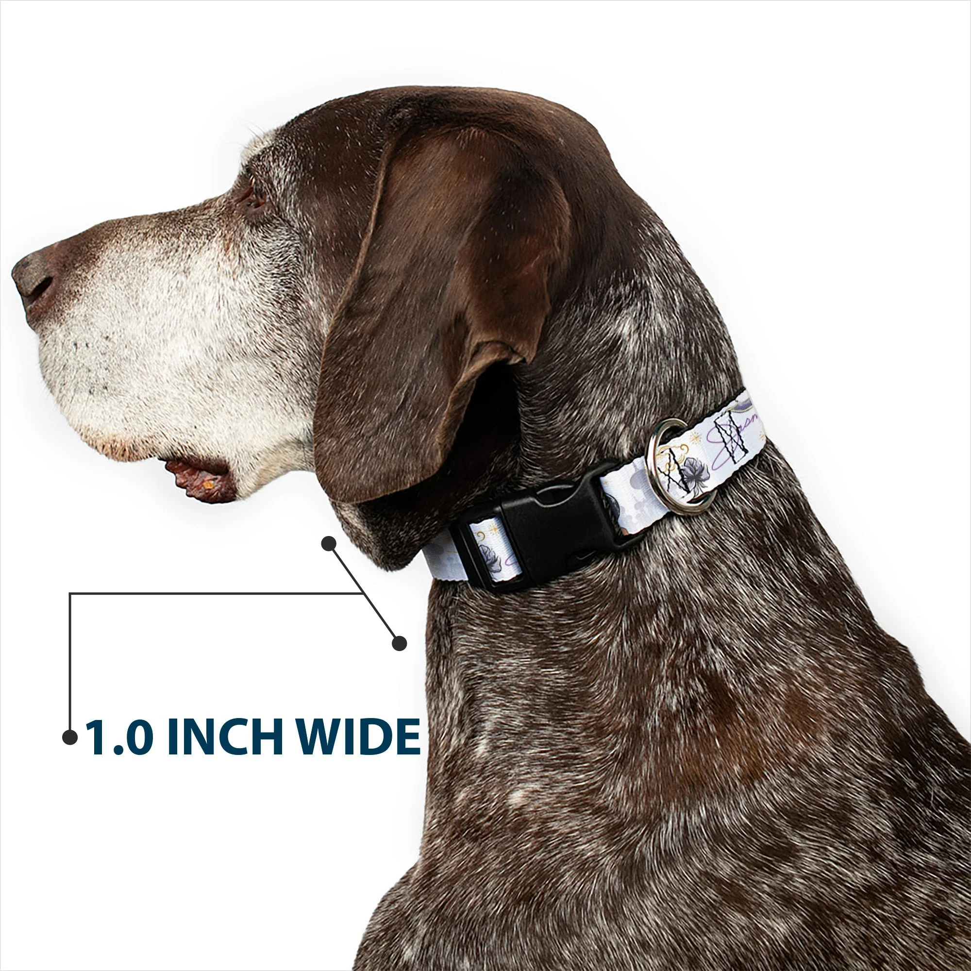 Plastic Clip Collar - Aladdin Jasmine Palace Pose with Script and Flowers White/Purples - Image 6