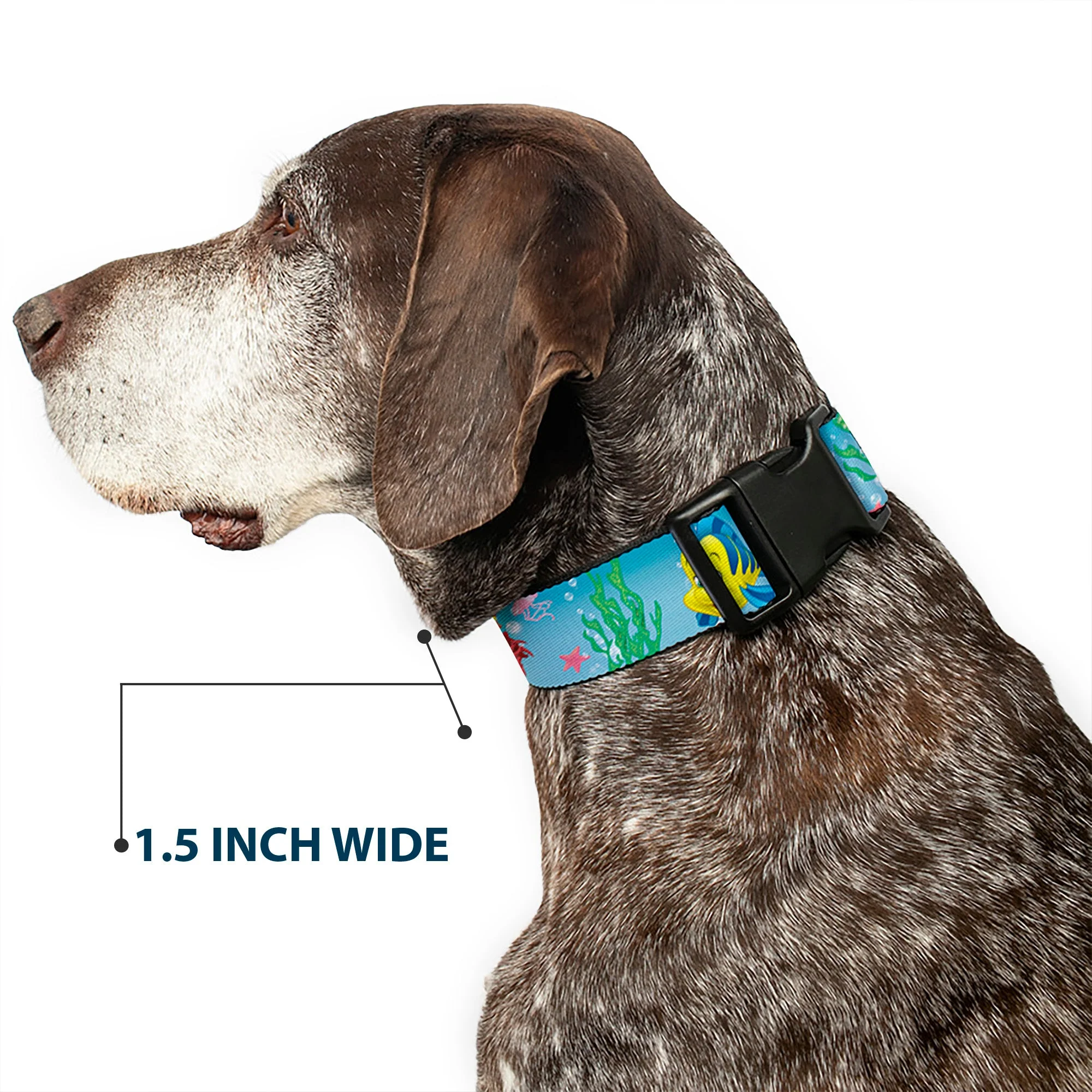 Plastic Clip Collar - Ariel, Sebastian & Flounder Scene2 - Image 7