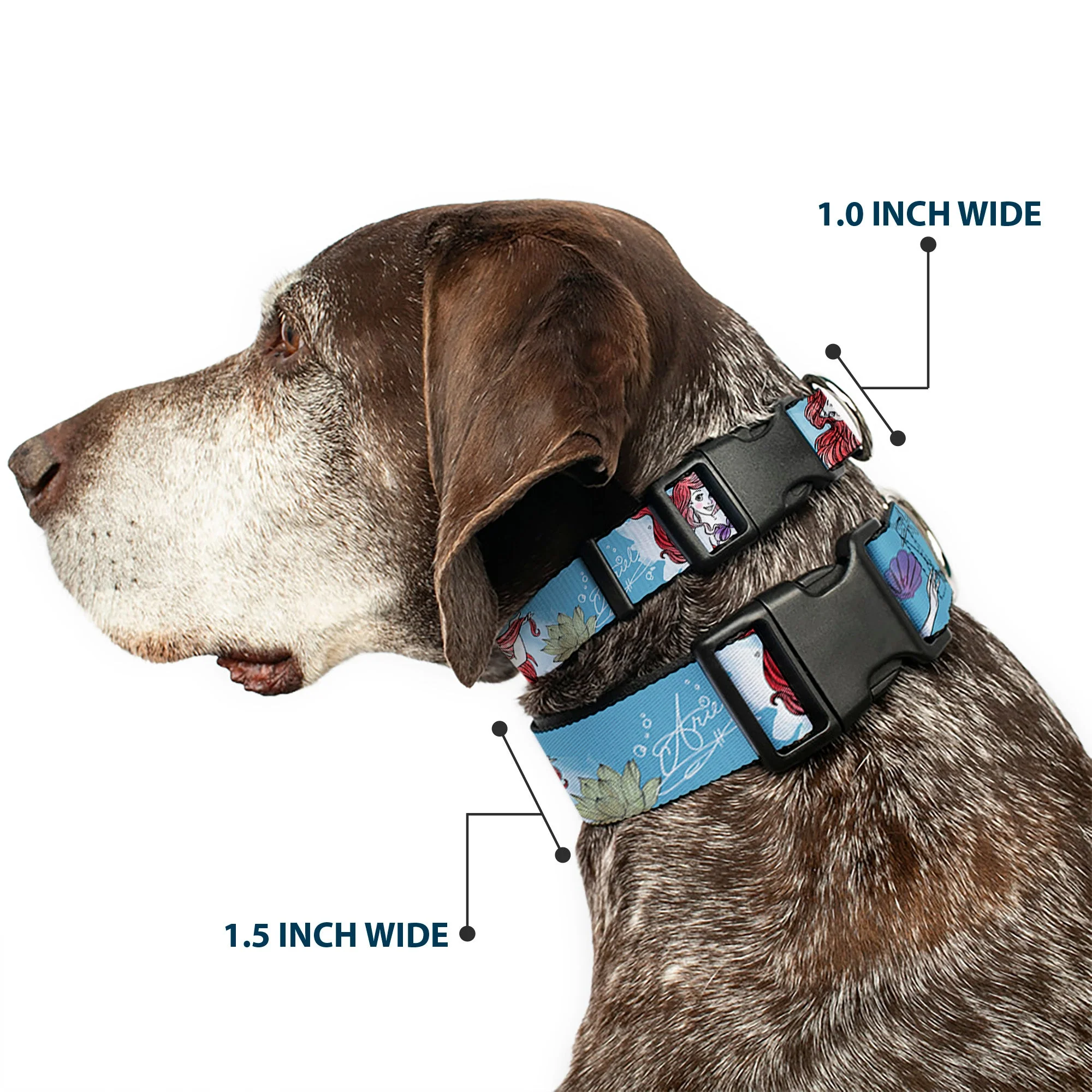 Plastic Clip Collar - ARIEL Sketch Poses Blues/Lavender - Image 2