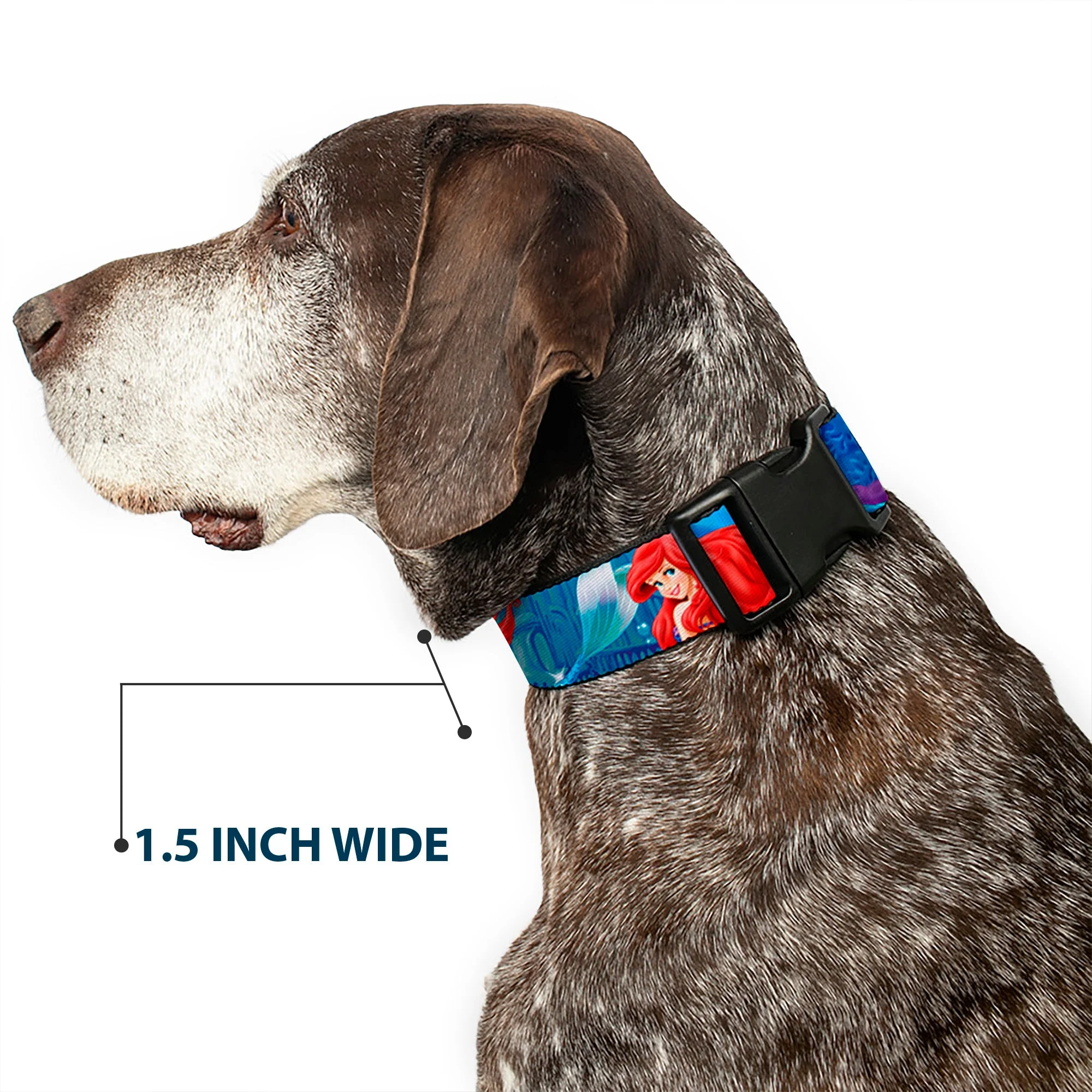 Plastic Clip Collar - Ariel Vivid Underwater Sparkle Poses/Castle - Image 7