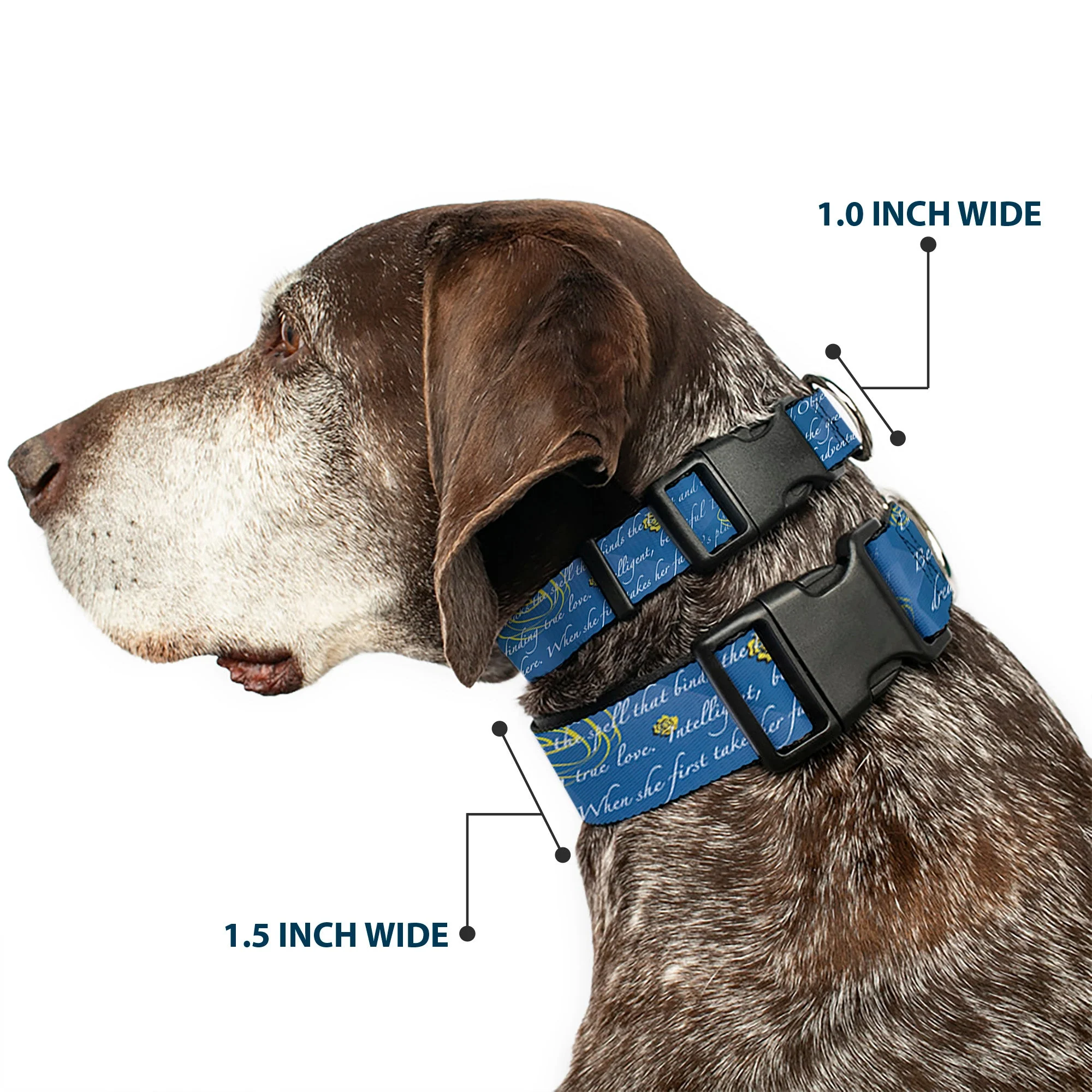 Plastic Clip Collar - Beauty & the Beast Story Script - Image 2