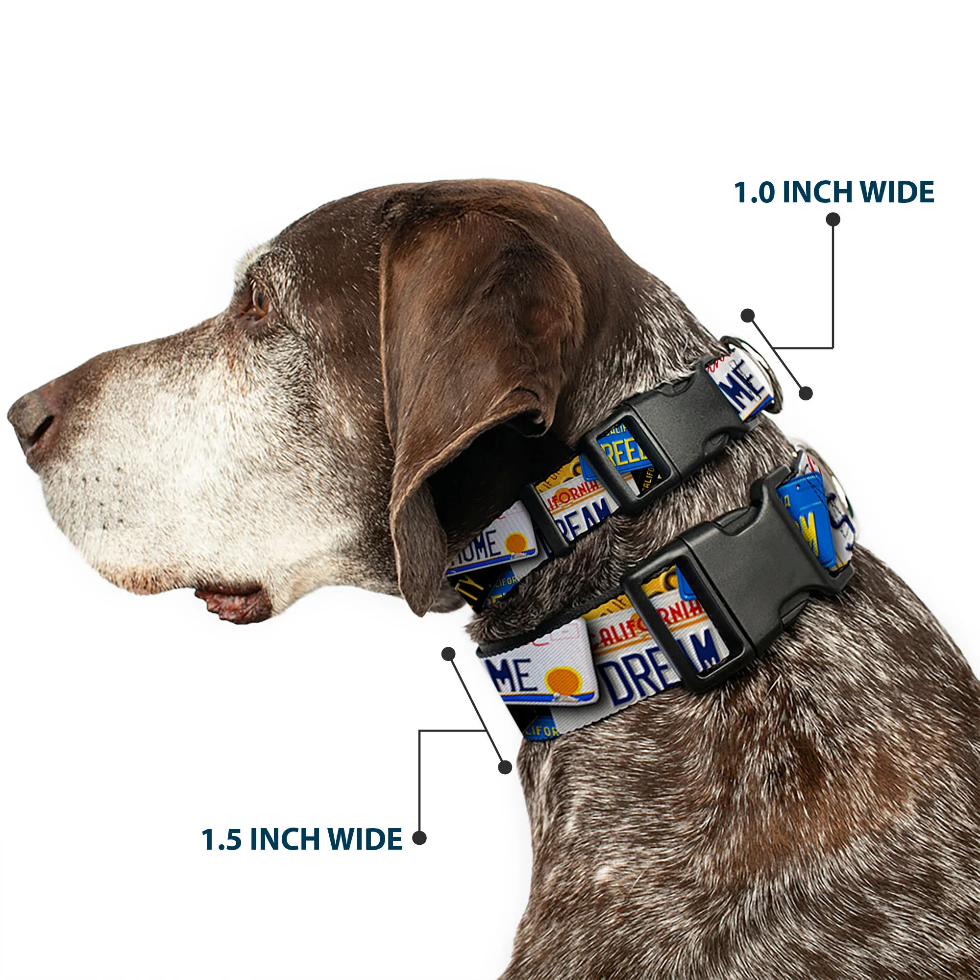 Plastic Clip Collar - Cali License Plates Stacked - Image 2