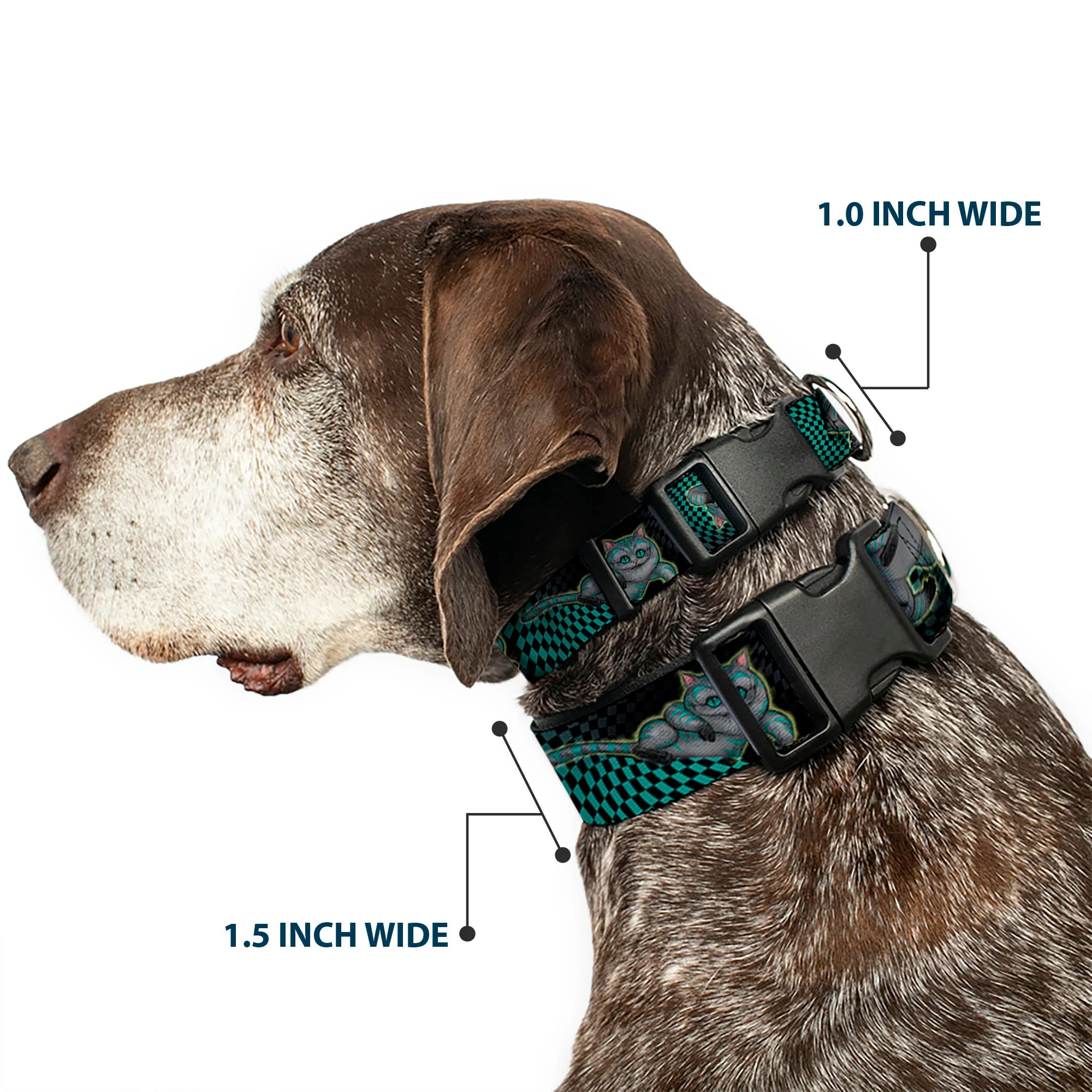 Plastic Clip Collar - Cheshire Cat 4-Poses Checkers Teal/Black - Image 2