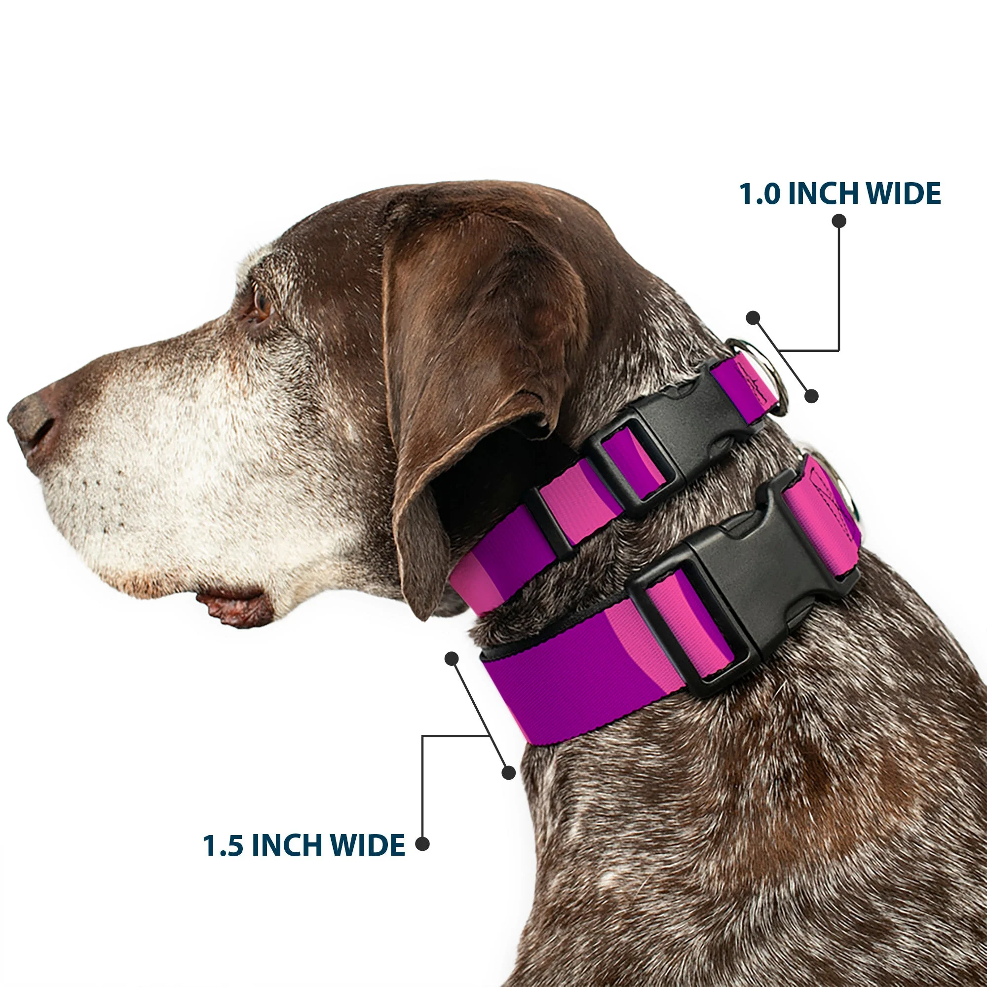 Plastic Clip Collar - Cheshire Cat Stripe Pink/Purple - Image 2