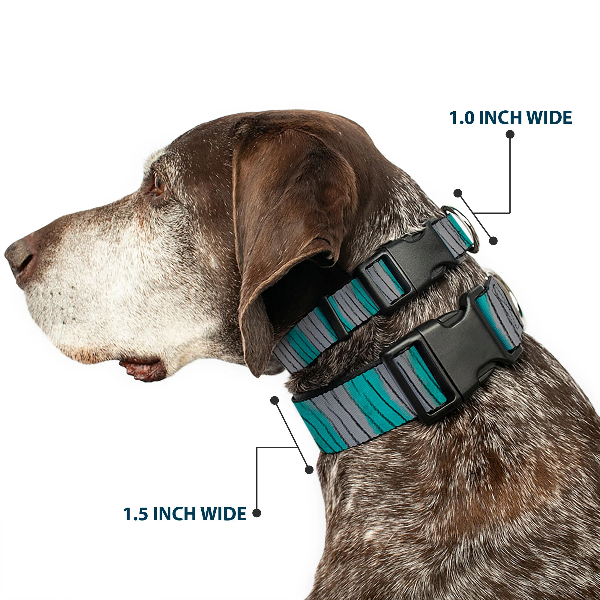 Plastic Clip Collar - Cheshire Cat Stripes Gray/Teal/Black - Image 2