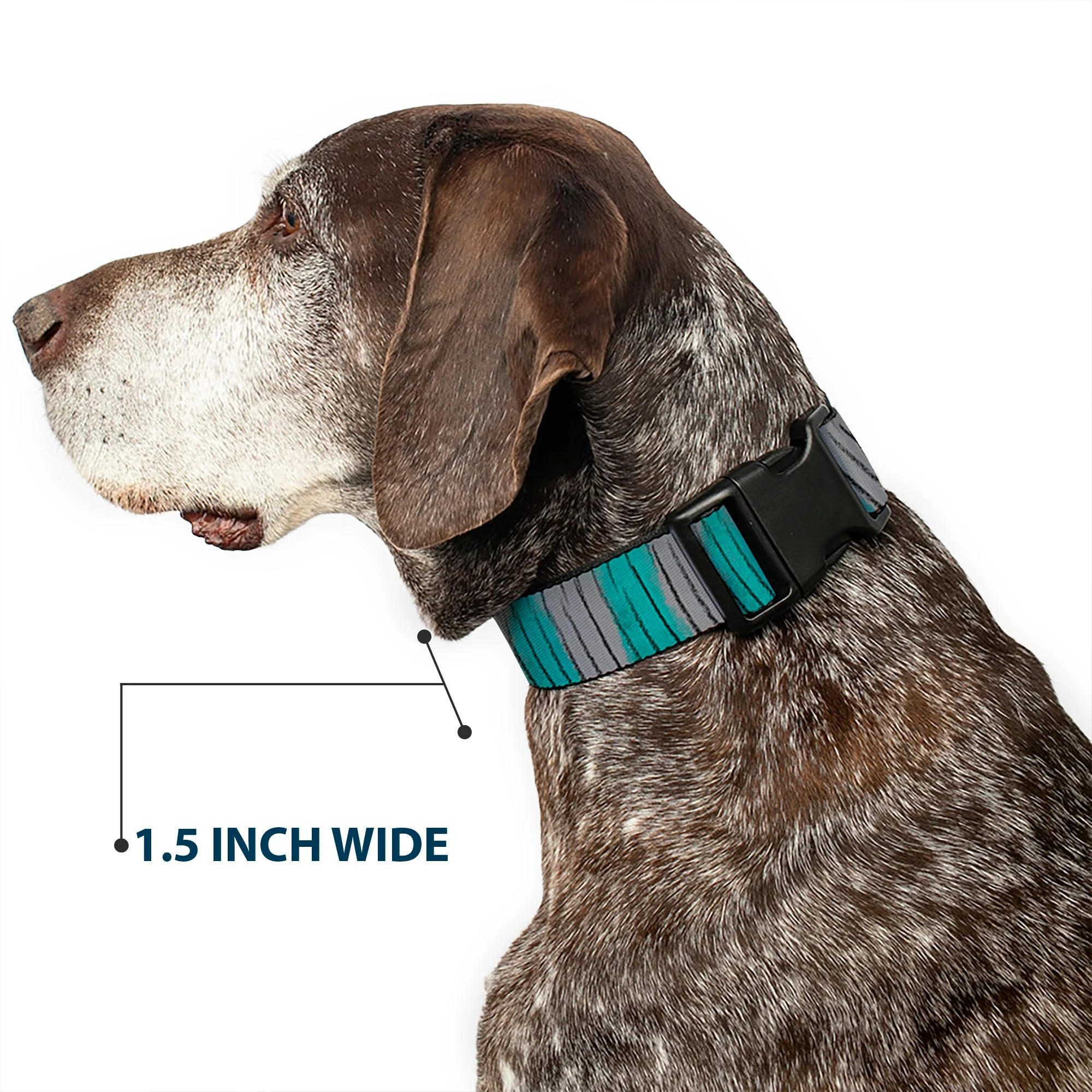 Plastic Clip Collar - Cheshire Cat Stripes Gray/Teal/Black - Image 7