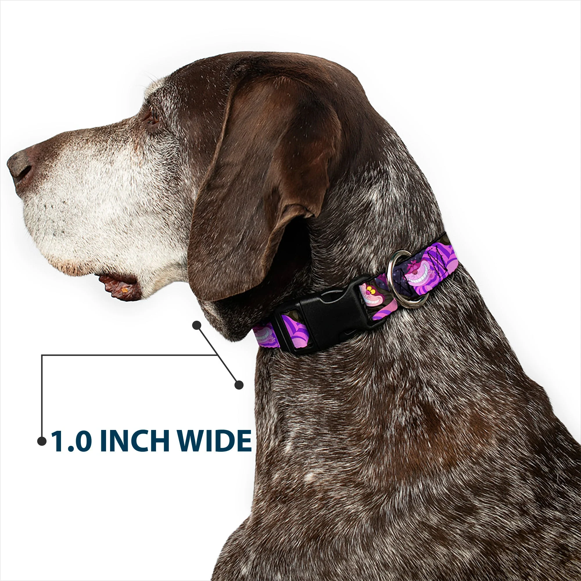 Plastic Clip Collar - Cheshire Cat Tree Poses - Image 6