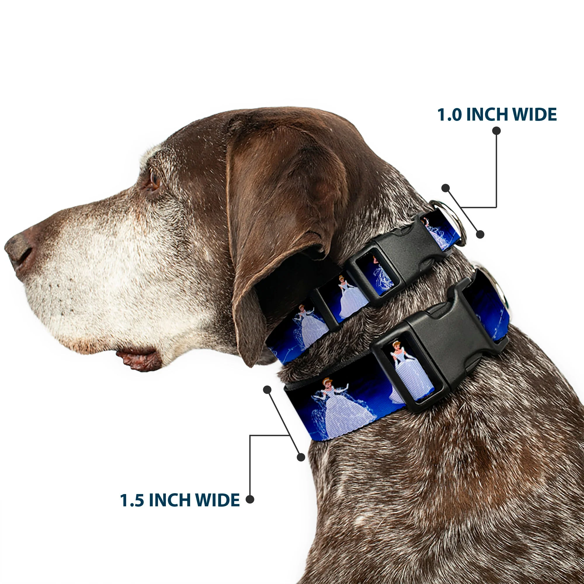 Plastic Clip Collar - Cinderella Transformation Blue Fade - Image 2