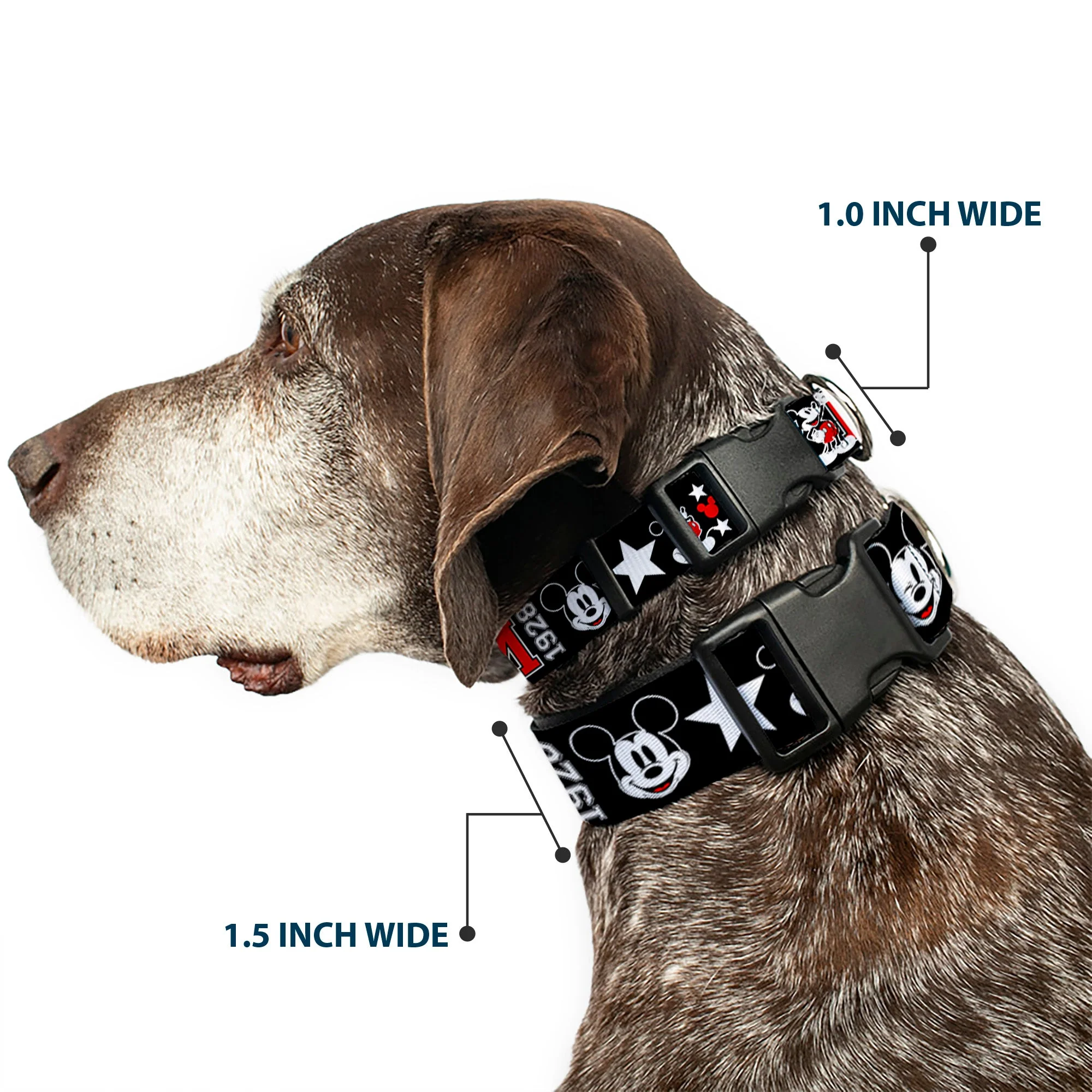 Plastic Clip Collar - Classic Mickey Mouse 1928 Collage Black/White/Red - Image 2