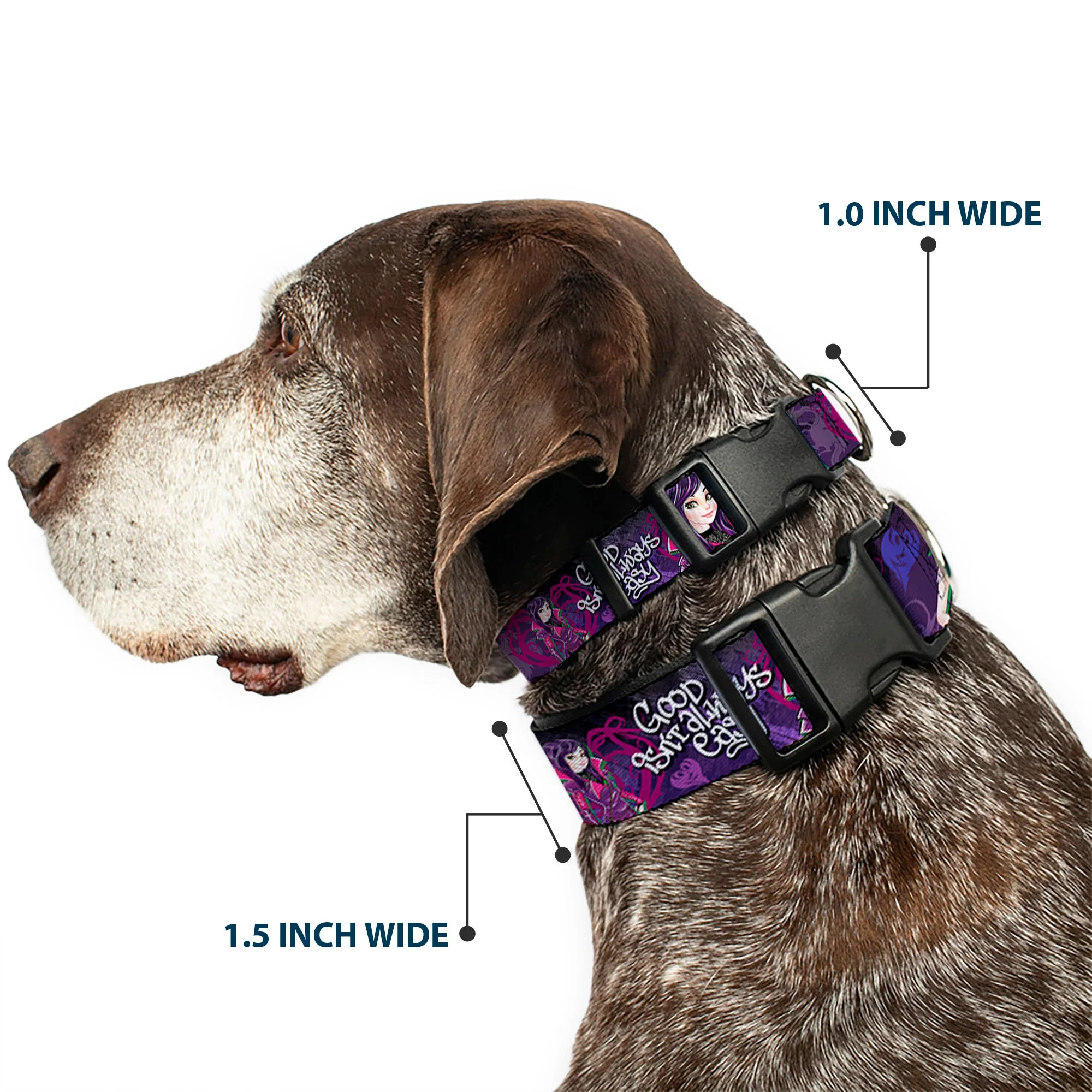 Plastic Clip Collar - Descendants Mal 3-Poses GOOD ISNT ALWAYS/Hearts/Dragons EASY Purples/Pinks - Image 2