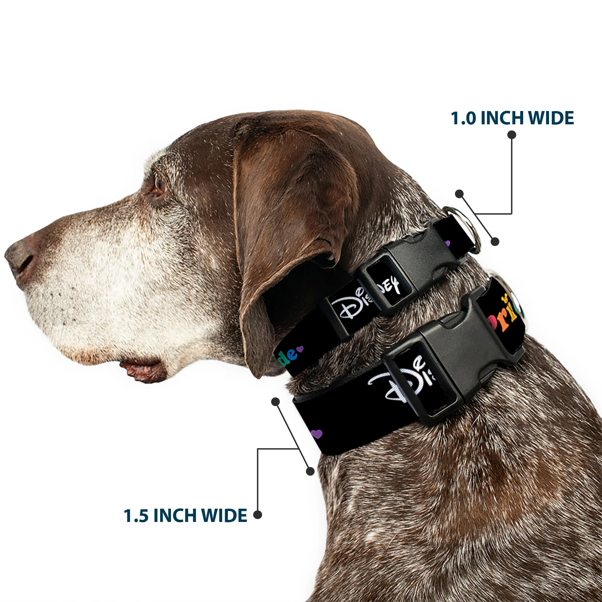 Plastic Clip Collar - DISNEY PRIDE Signature Logo Black/White/Rainbow - Image 2