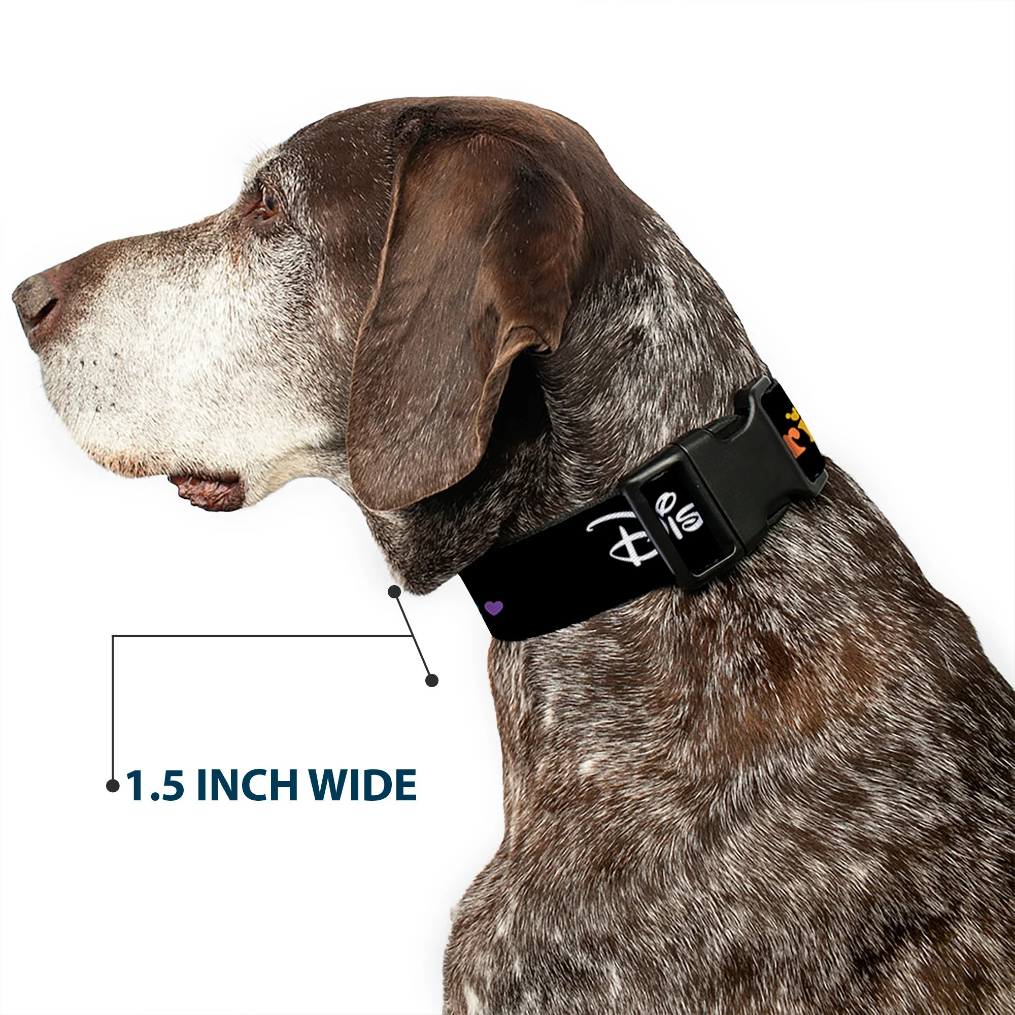 Plastic Clip Collar - DISNEY PRIDE Signature Logo Black/White/Rainbow - Image 7