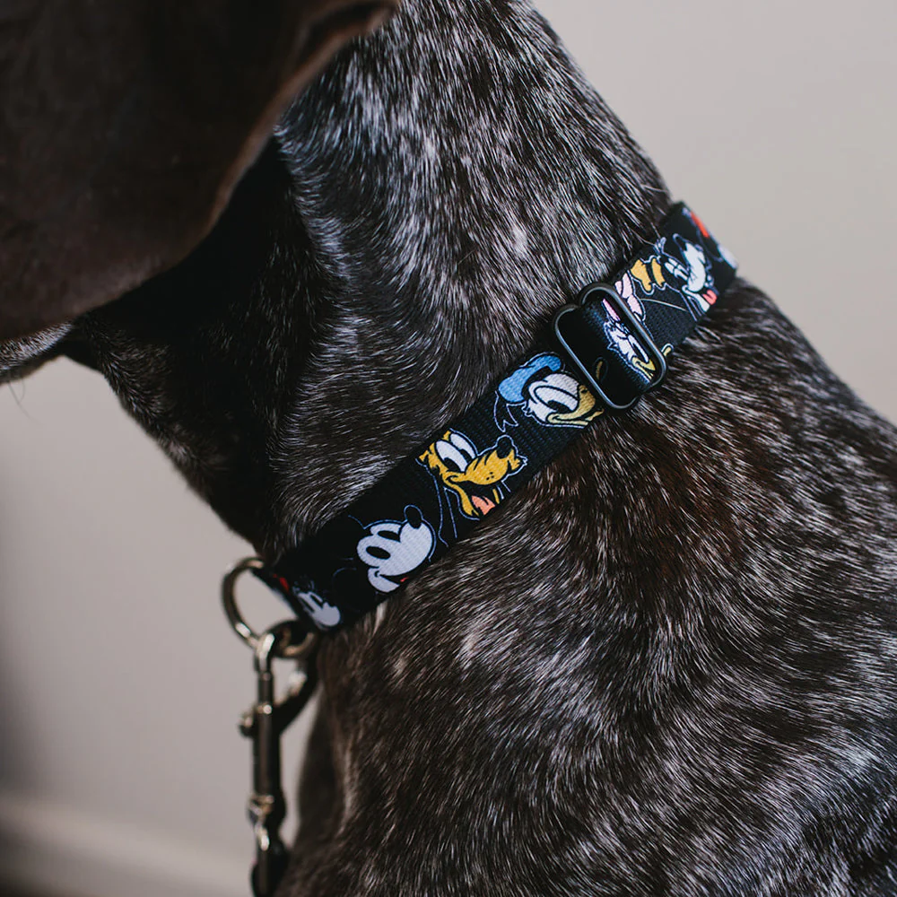 Plastic Clip Collar - Disney The Sensational Six Smiling Faces Black - Image 8