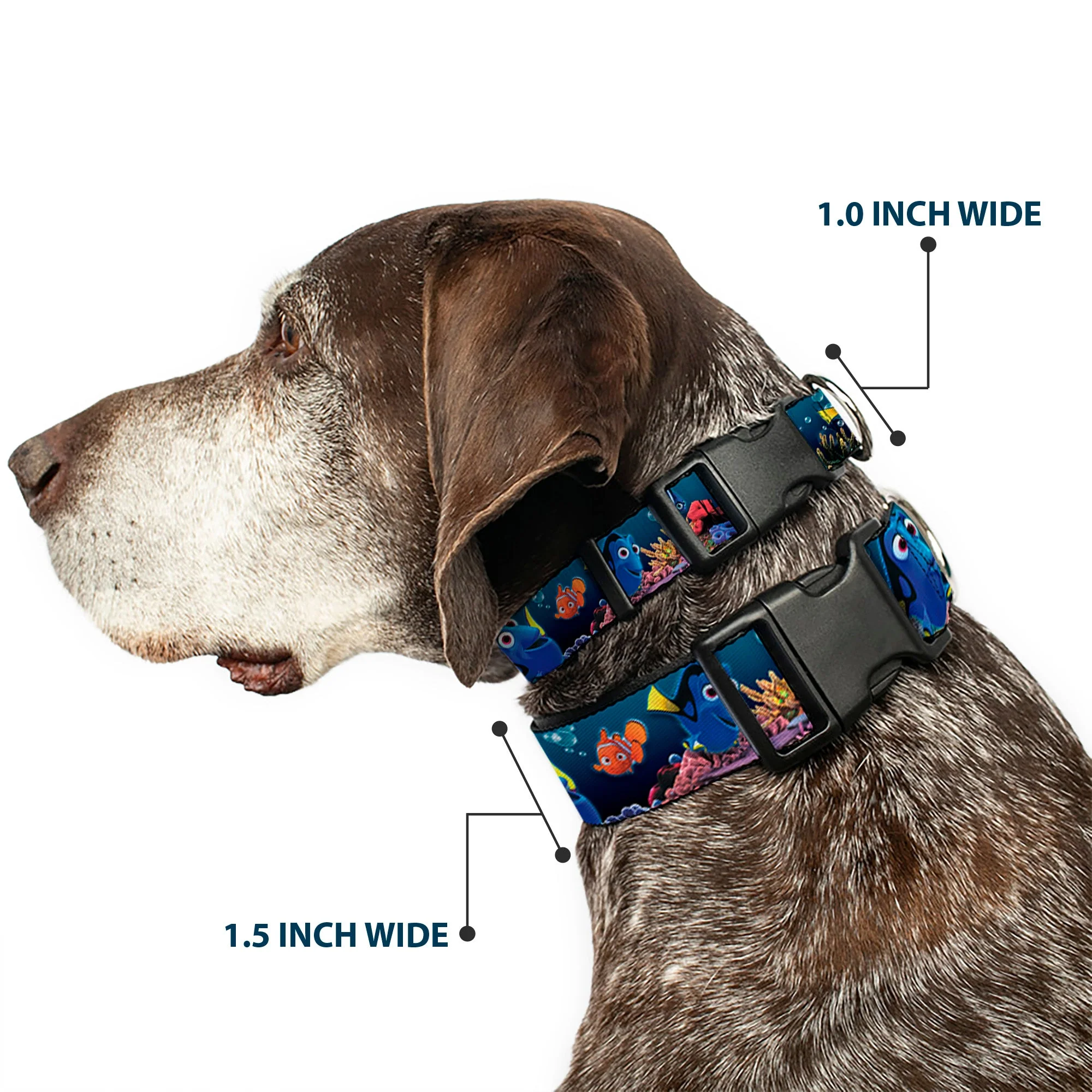 Plastic Clip Collar - Dory Poses & Friends Under the Sea - Image 2