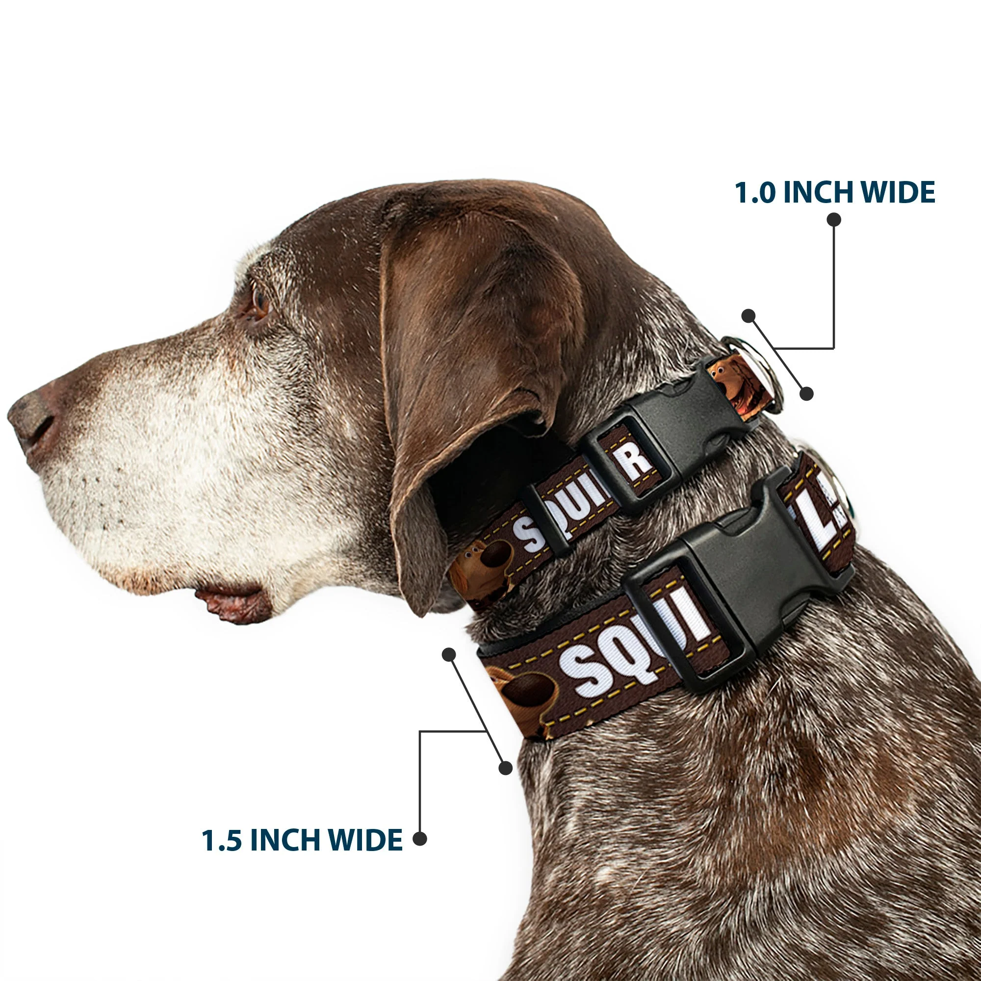 Plastic Clip Collar - Dug 3-Poses/SQUIRREL! Brown/Yellow/White - Image 2