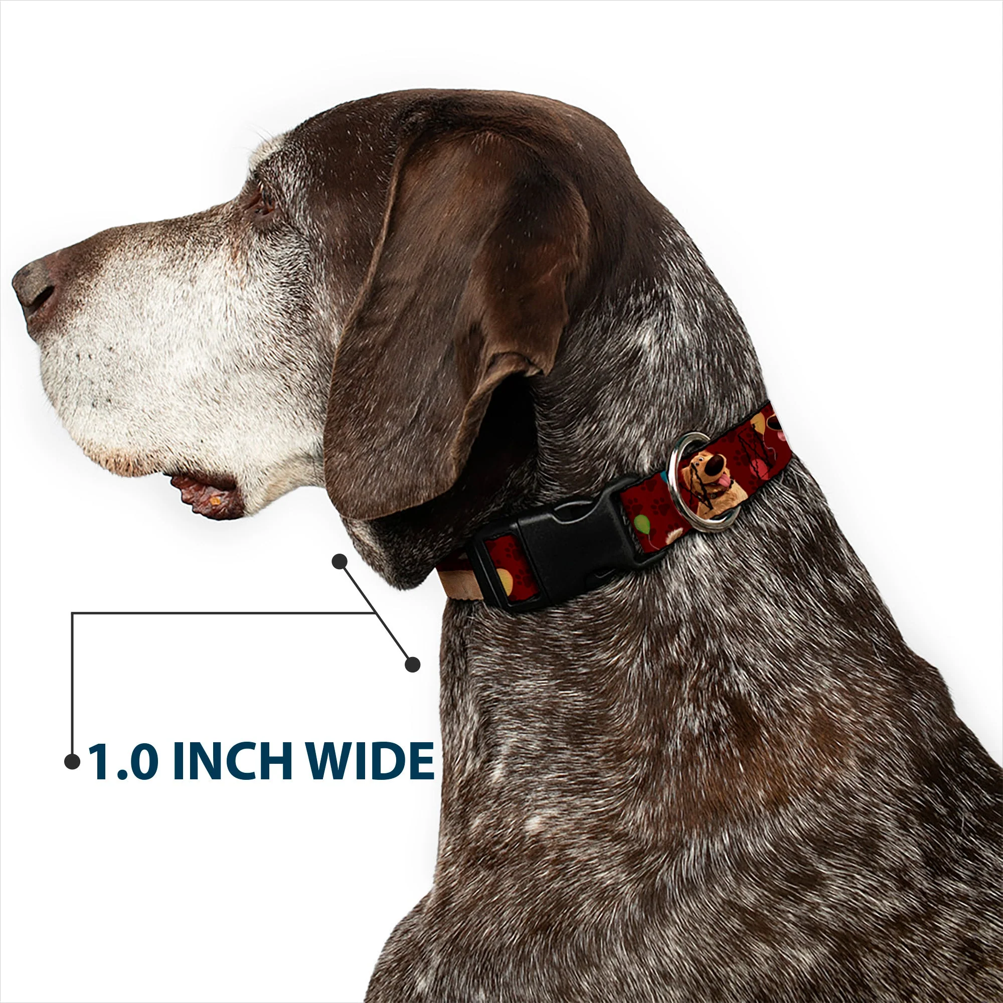 Plastic Clip Collar - Dug 4-Poses/Balloons/Paw Print Reds - Image 6