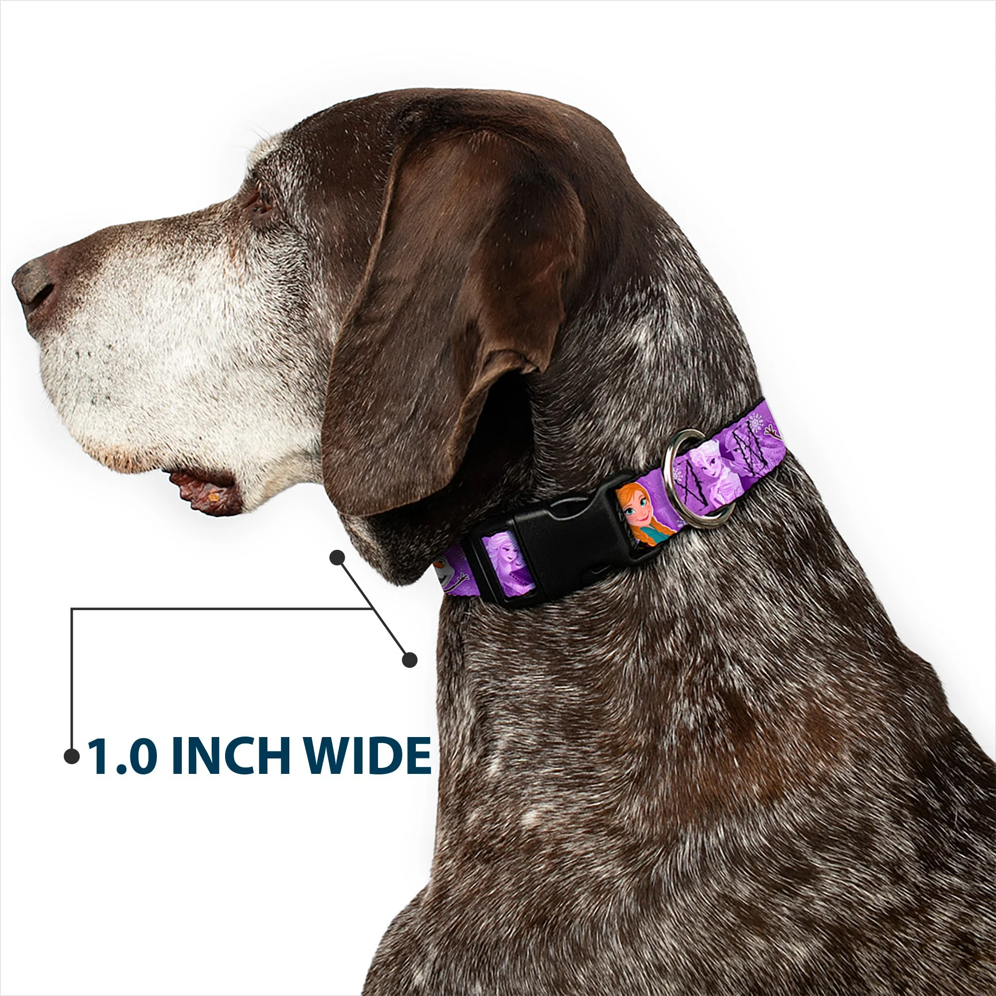 Plastic Clip Collar - Frozen Anna/Elsa/Olaf Poses/Scenes Purples - Image 6