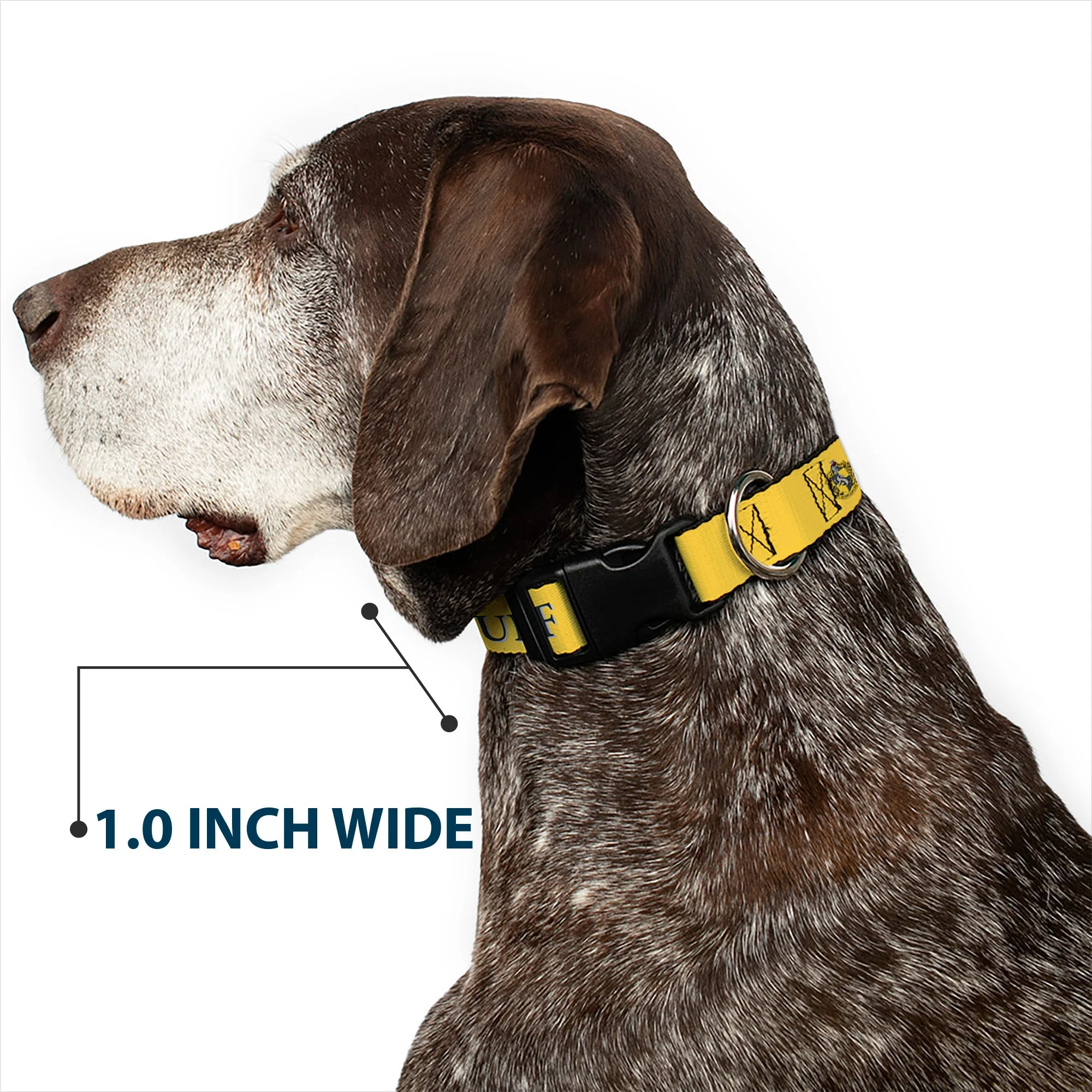 Plastic Clip Collar - Harry Potter HUFFLEPUFF & Crest Yellow/Black - Image 6