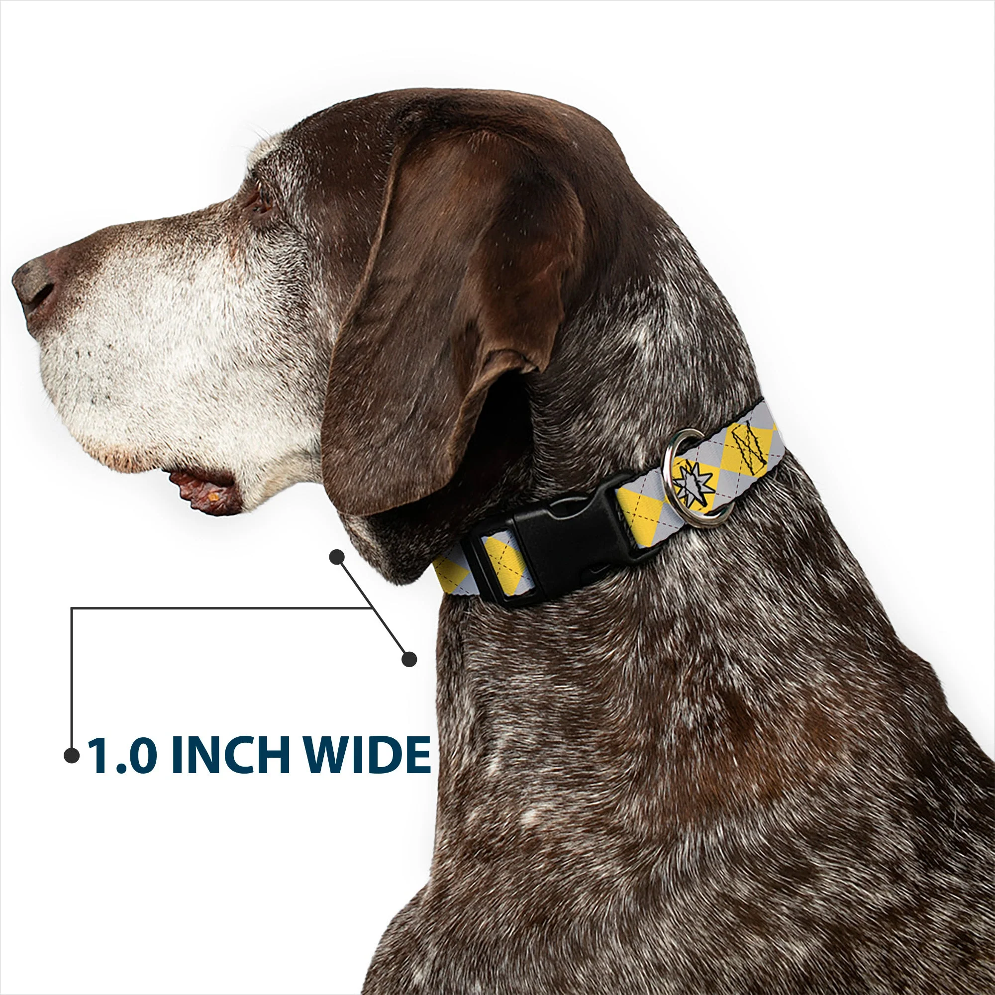 Plastic Clip Collar - Harry Potter HUFFLEPUFF/Stars Argyle Plaid Gray/Gold/Browns - Image 6