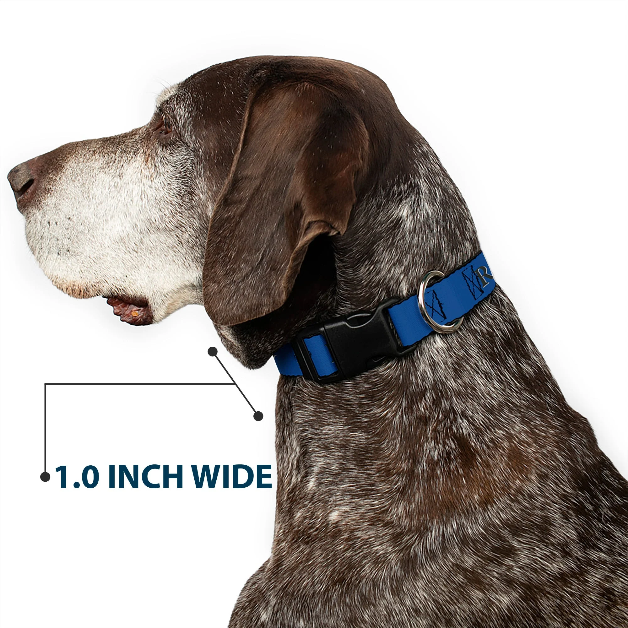 Plastic Clip Collar - Harry Potter RAVENCLAW & Crest Blue/Black - Image 6