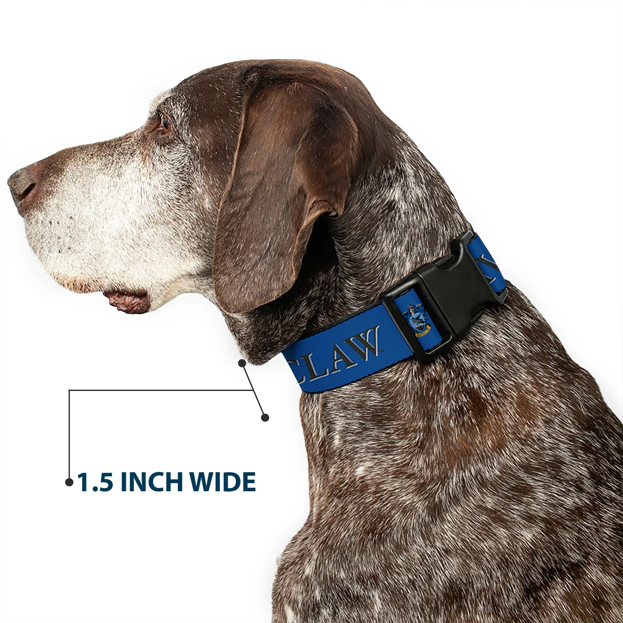 Plastic Clip Collar - Harry Potter RAVENCLAW & Crest Blue/Black - Image 7