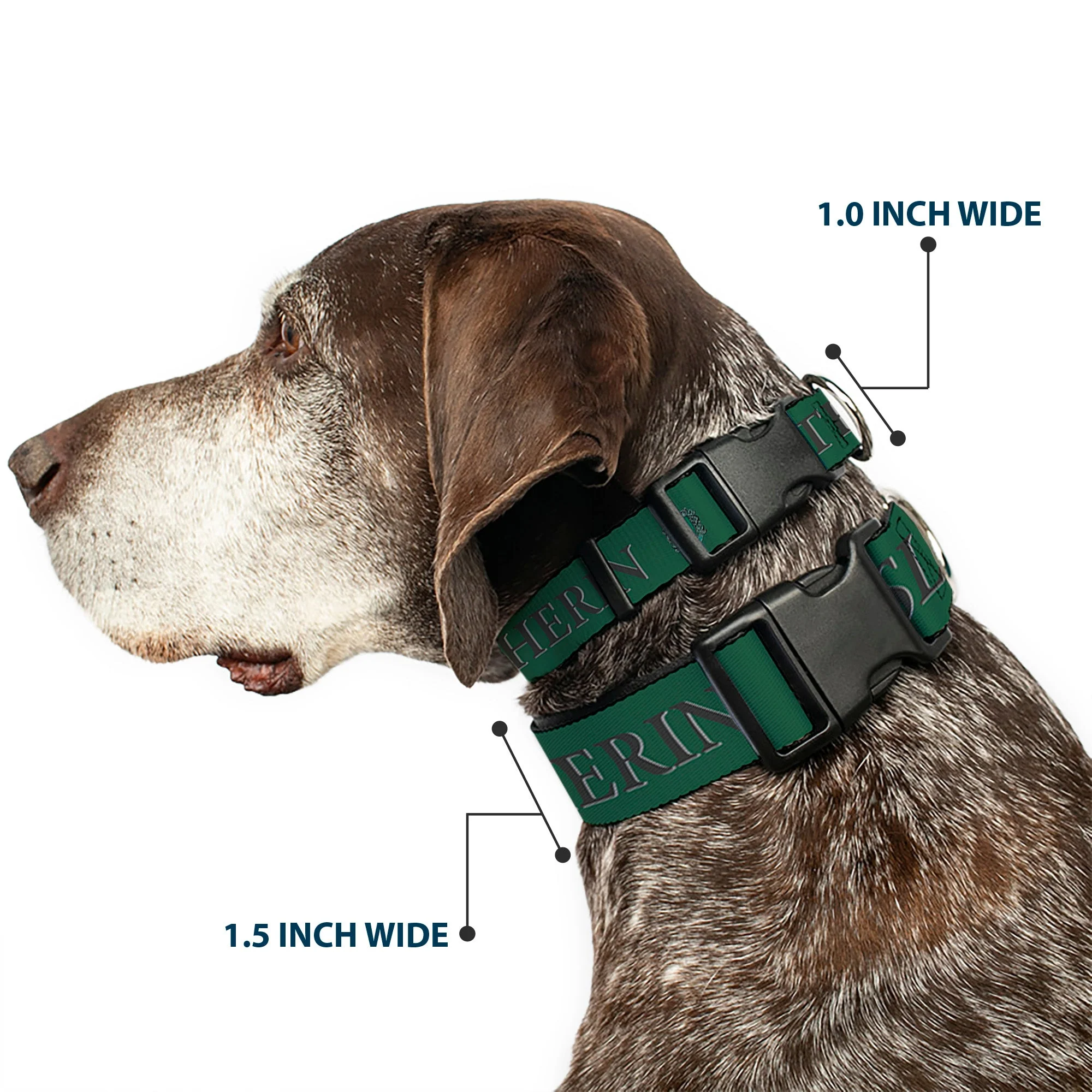 Plastic Clip Collar - Harry Potter SLYTHERIN & Crest Green/Black - Image 2