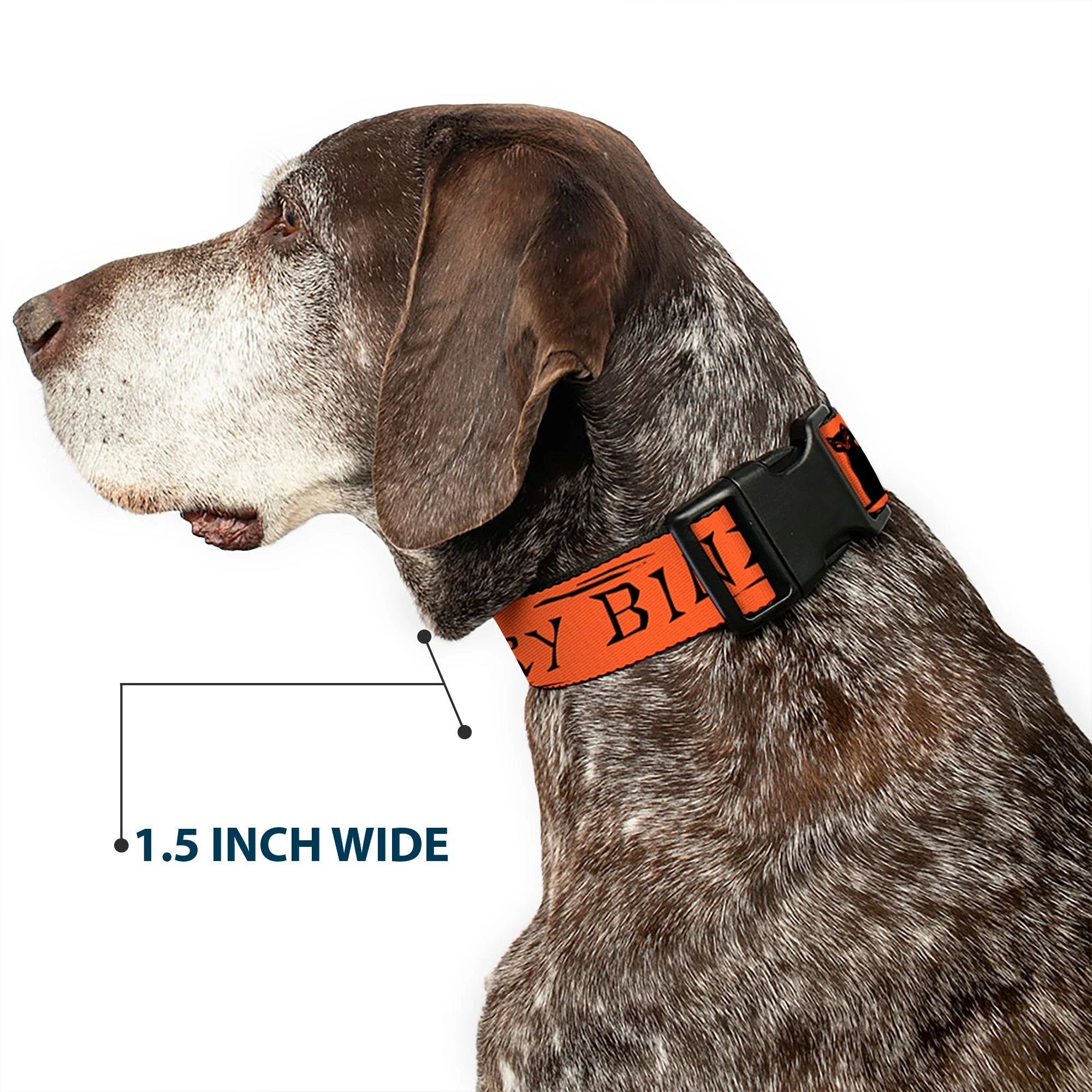 Plastic Clip Collar - Hocus Pocus THACKERY BINX Cat Silhouette Orange/Black - Image 7