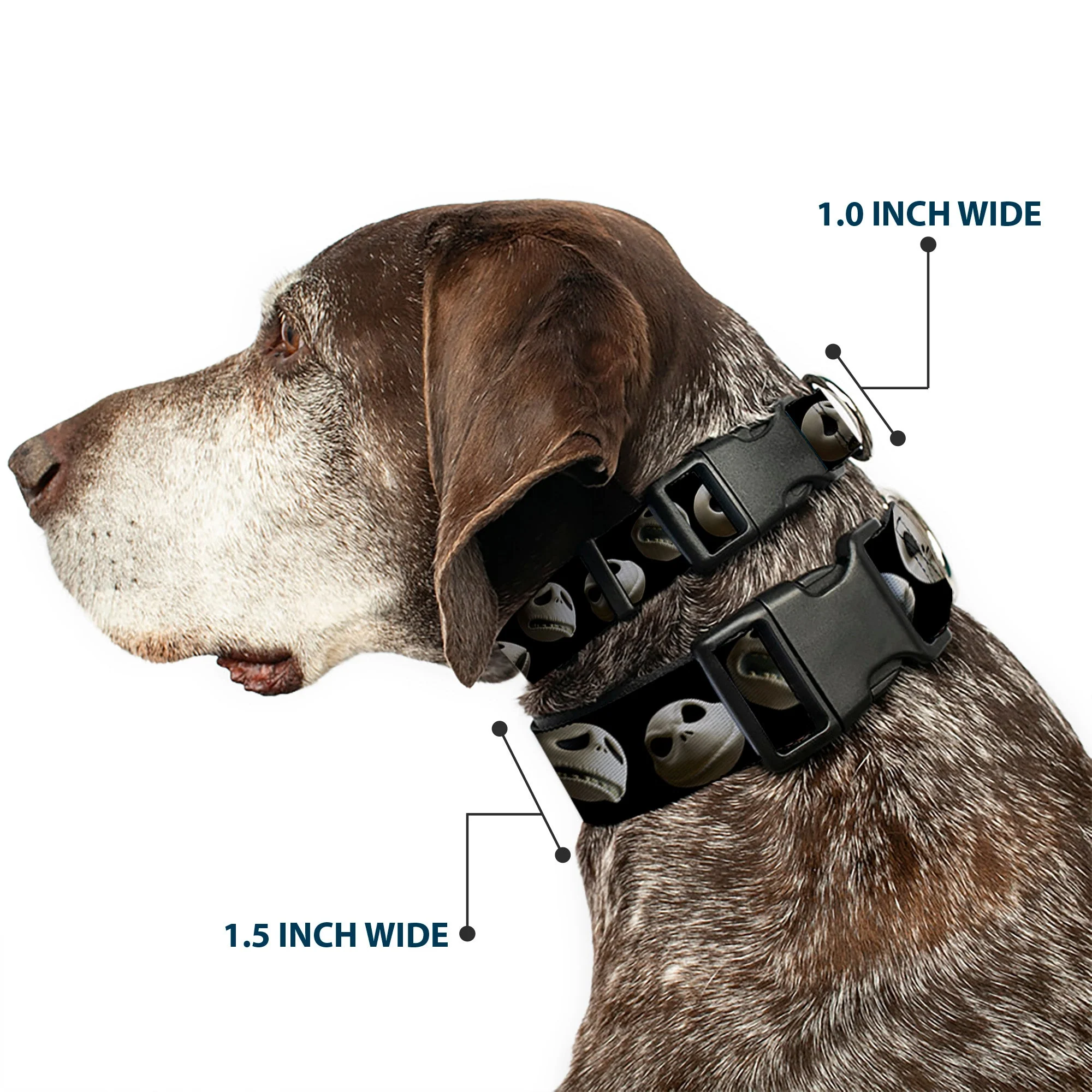 Plastic Clip Collar - Jack 10-Expressions Staggered Black - Image 2