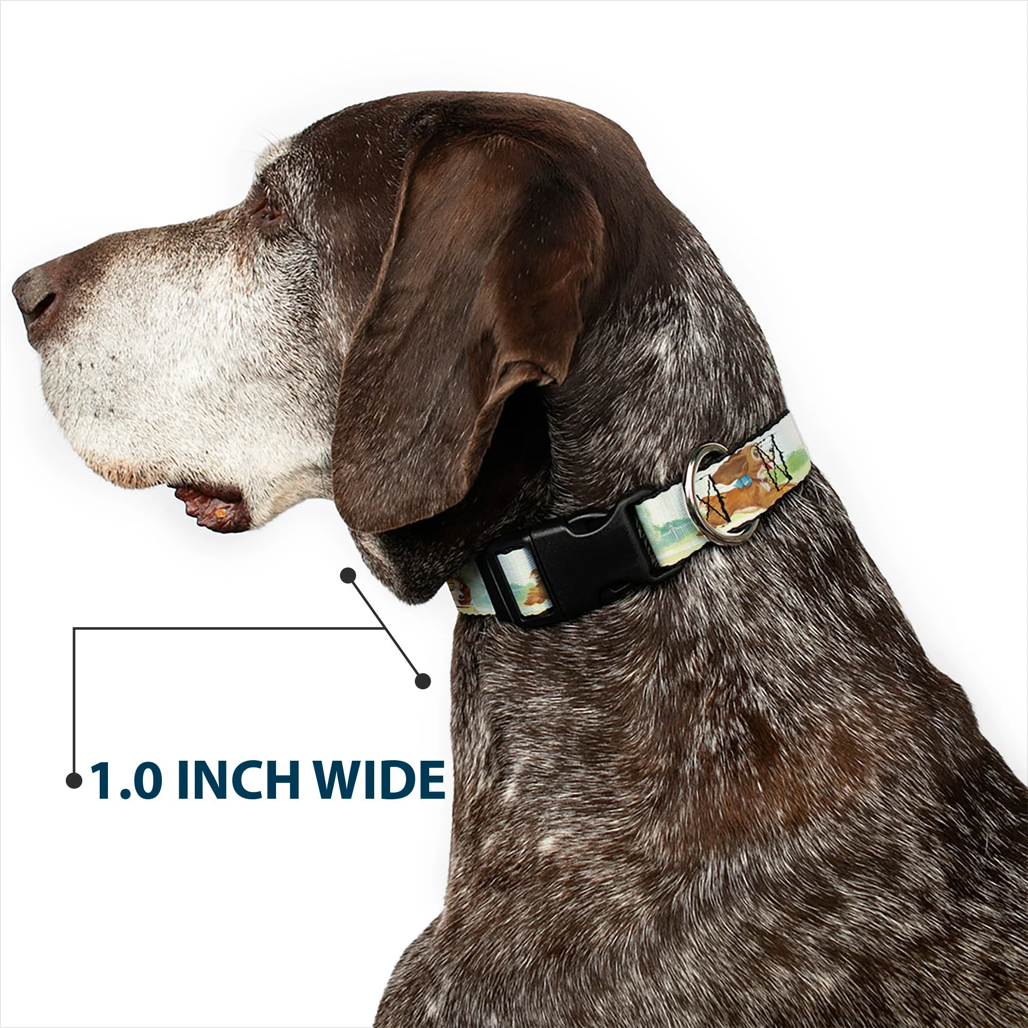 Plastic Clip Collar - Lady 3-Scene Poses - Image 6