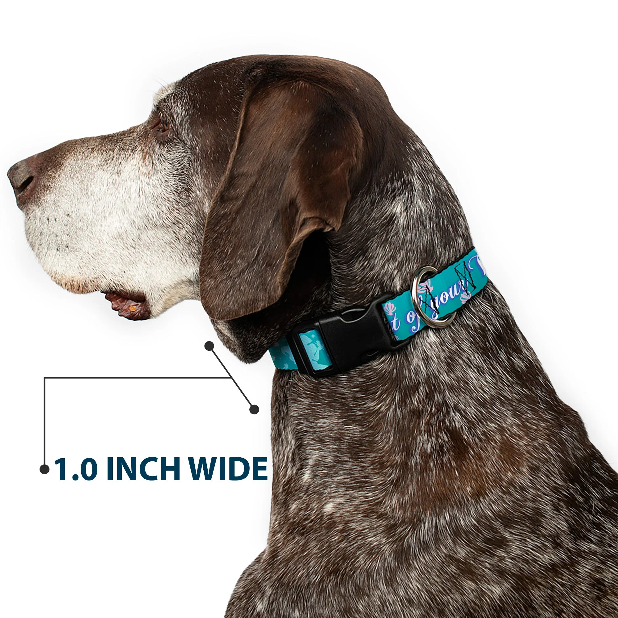 Plastic Clip Collar - Little Mermaid Silhouette Scenes PART OF YOUR WORLD Blues - Image 6
